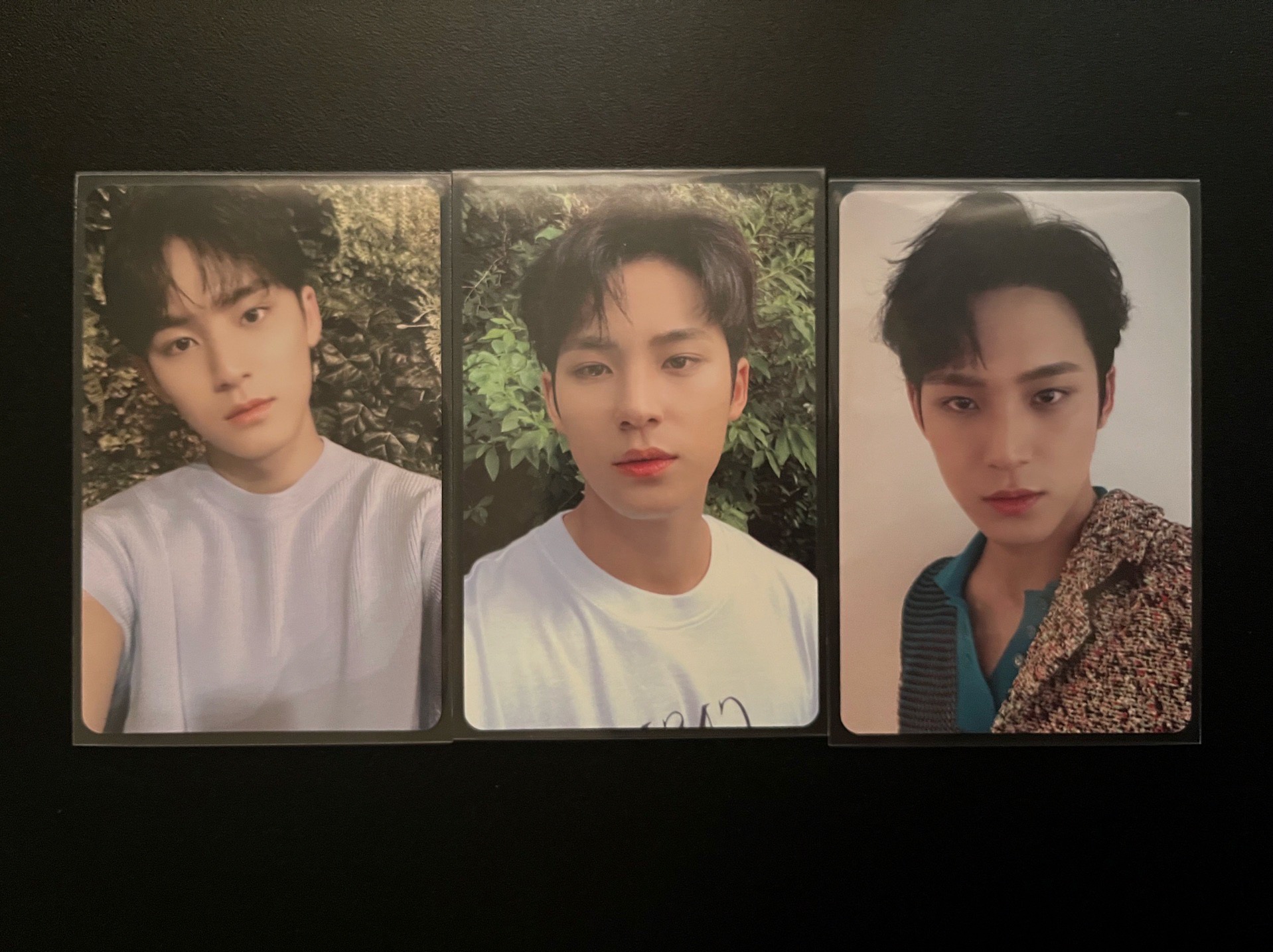 dicon 小卡 奎（整圖售）