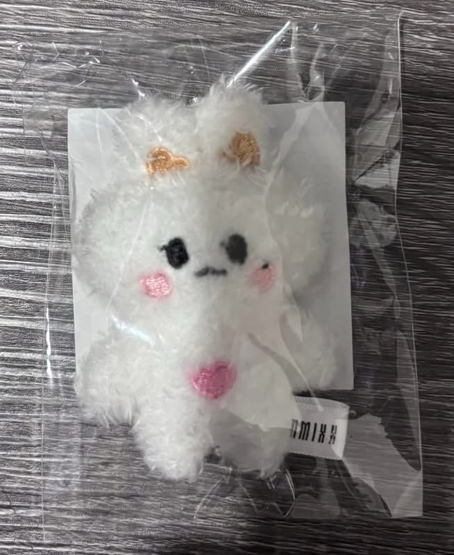 薛小娃、大頭盤