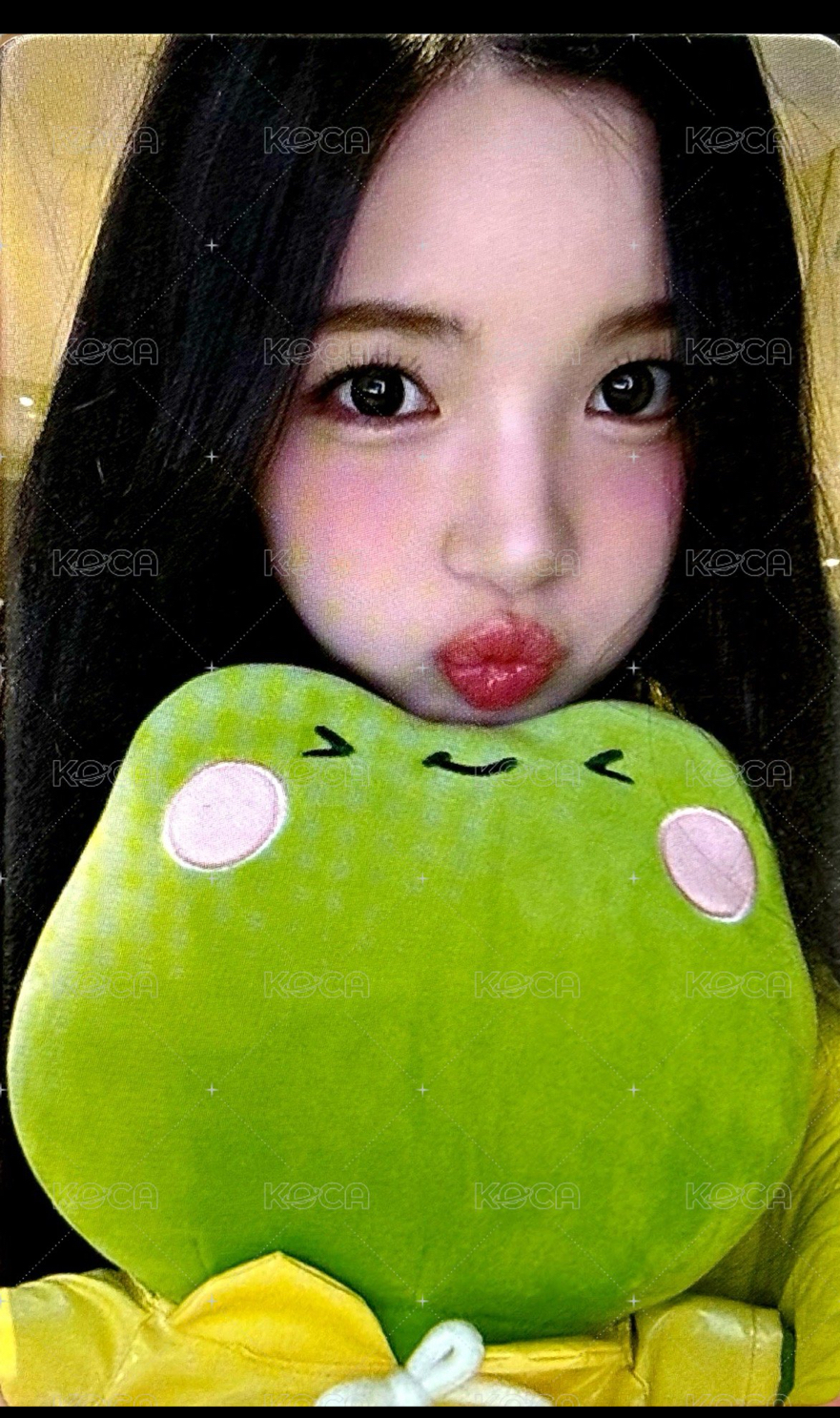 非現 Yuha 青蛙幸運卡