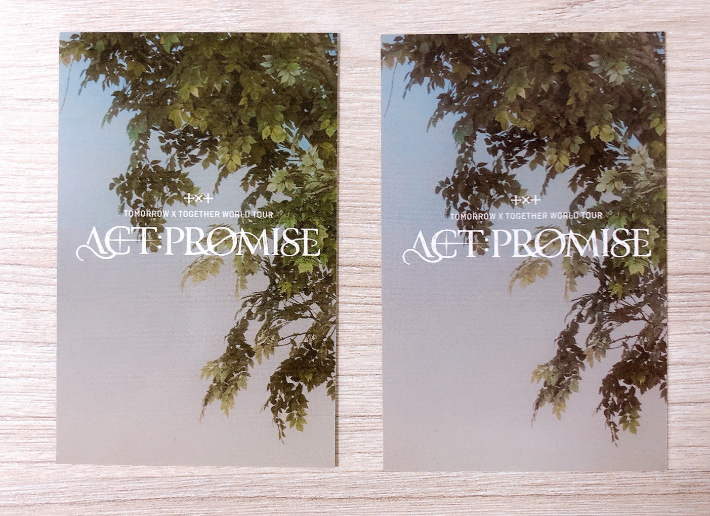 崔秀彬 姜太顯 24’巡迴 入場卡 / 場限卡 moa zone 粽卡 zone卡