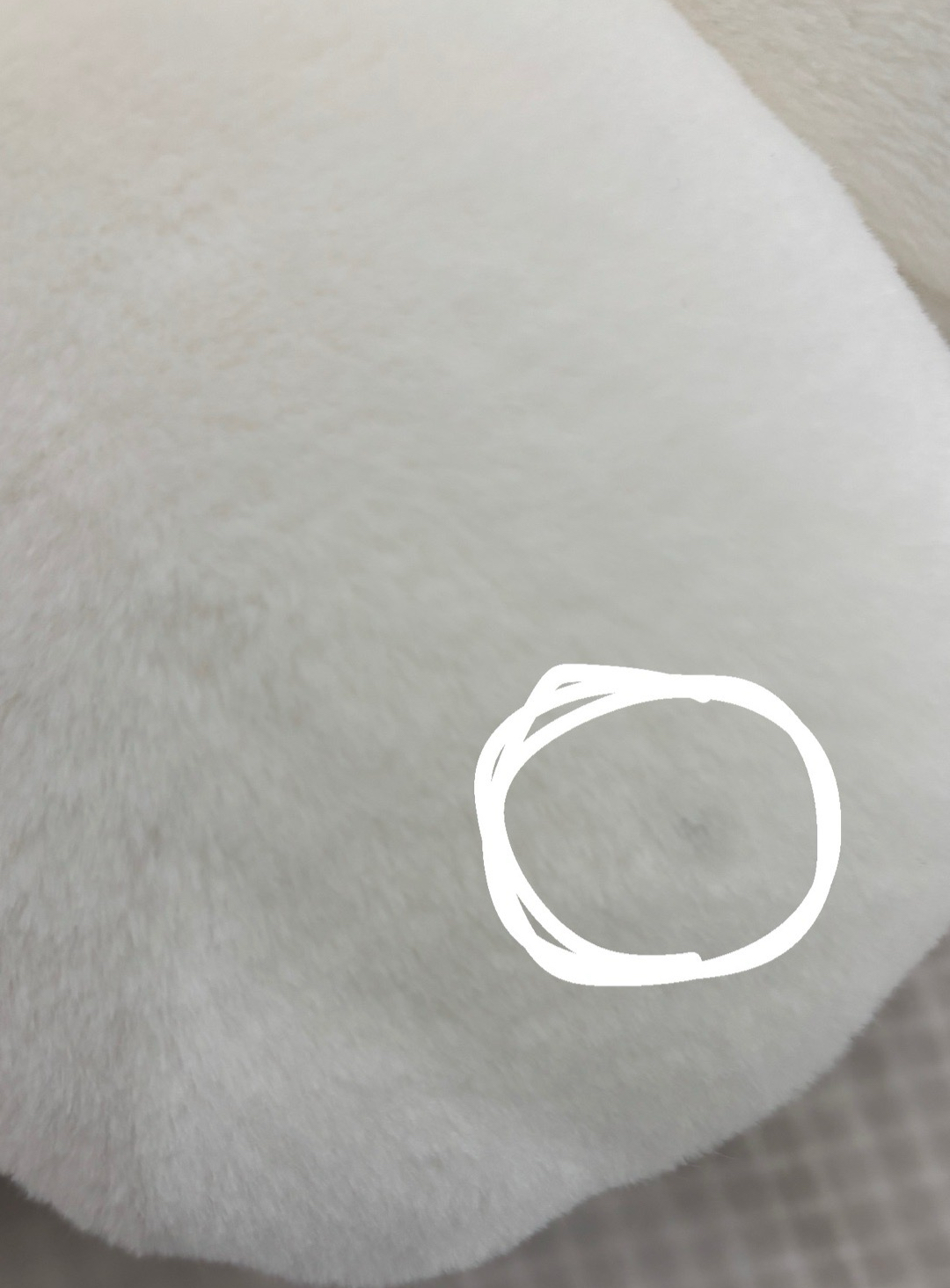 Follow Again 抱枕 太陽花抱枕