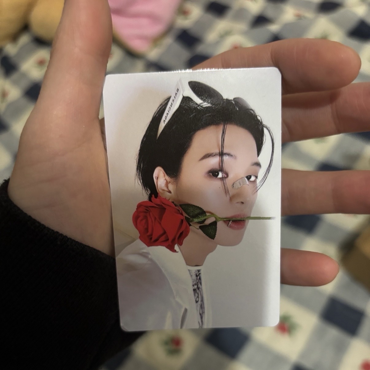 黑膠特典｜玫瑰王子오라이