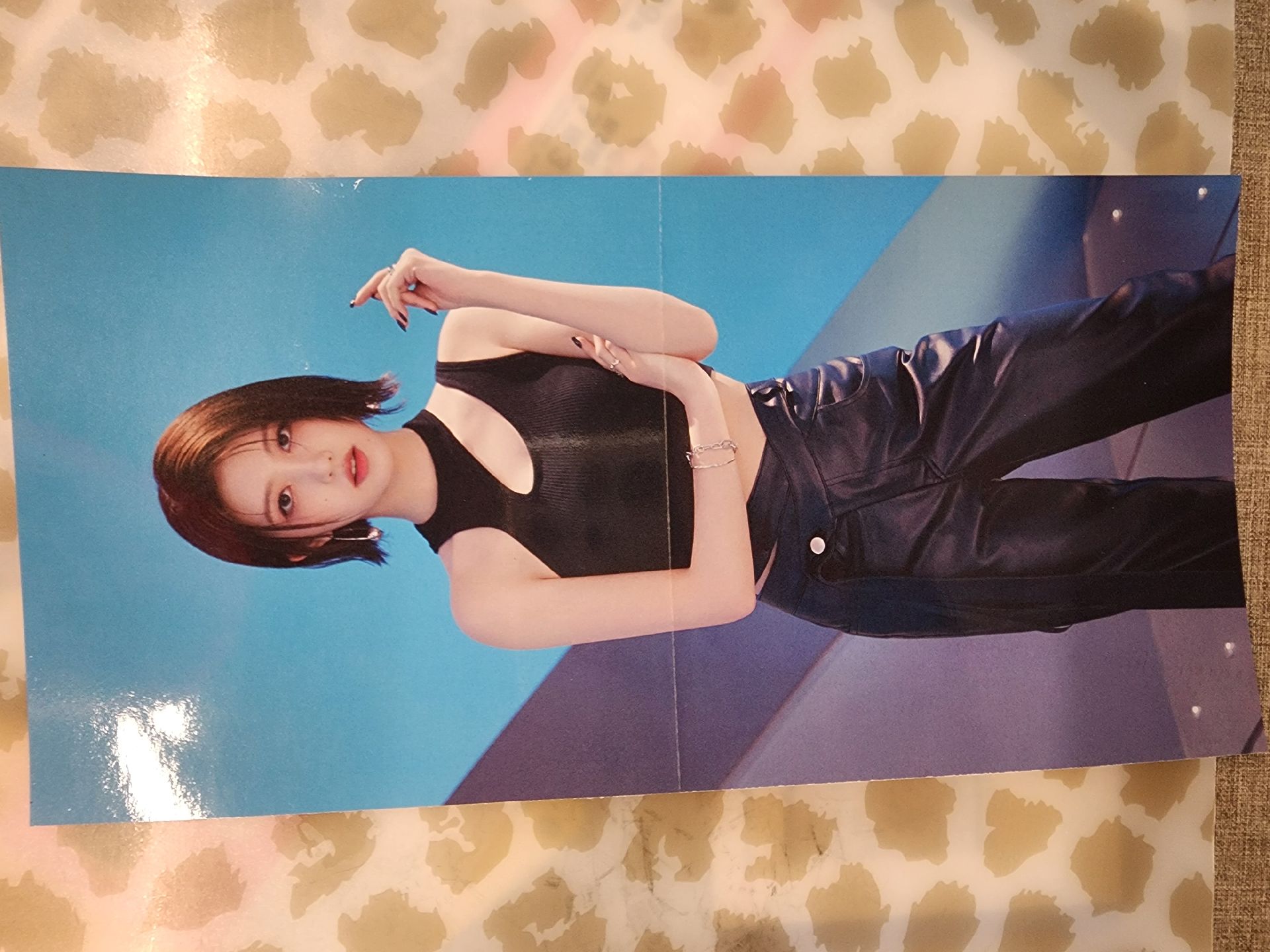 單封海報＆預購禮海報！