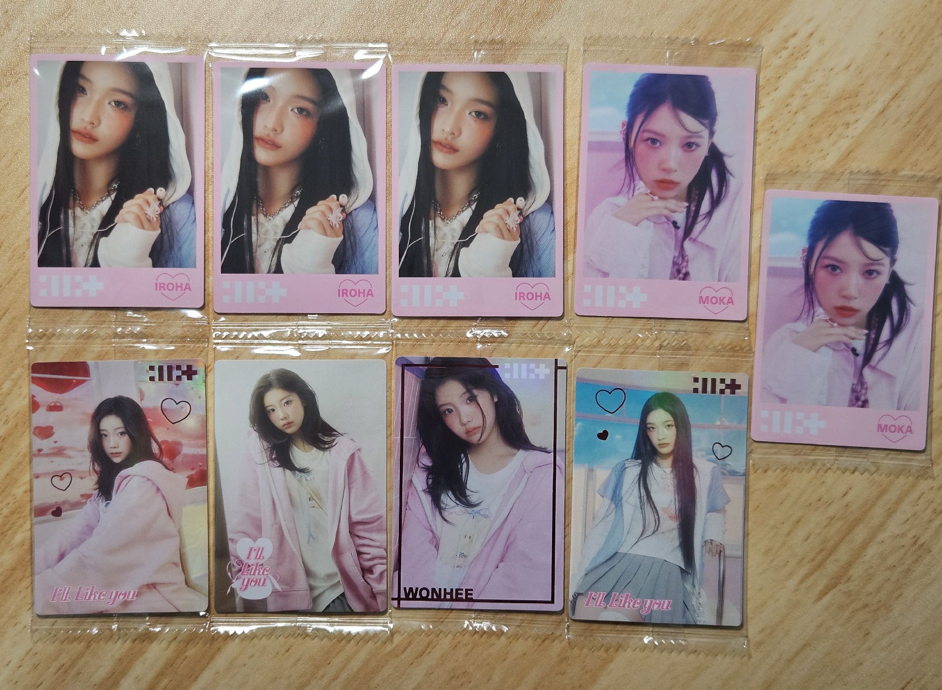 餅乾卡 囉哈 摩卡 沅禧