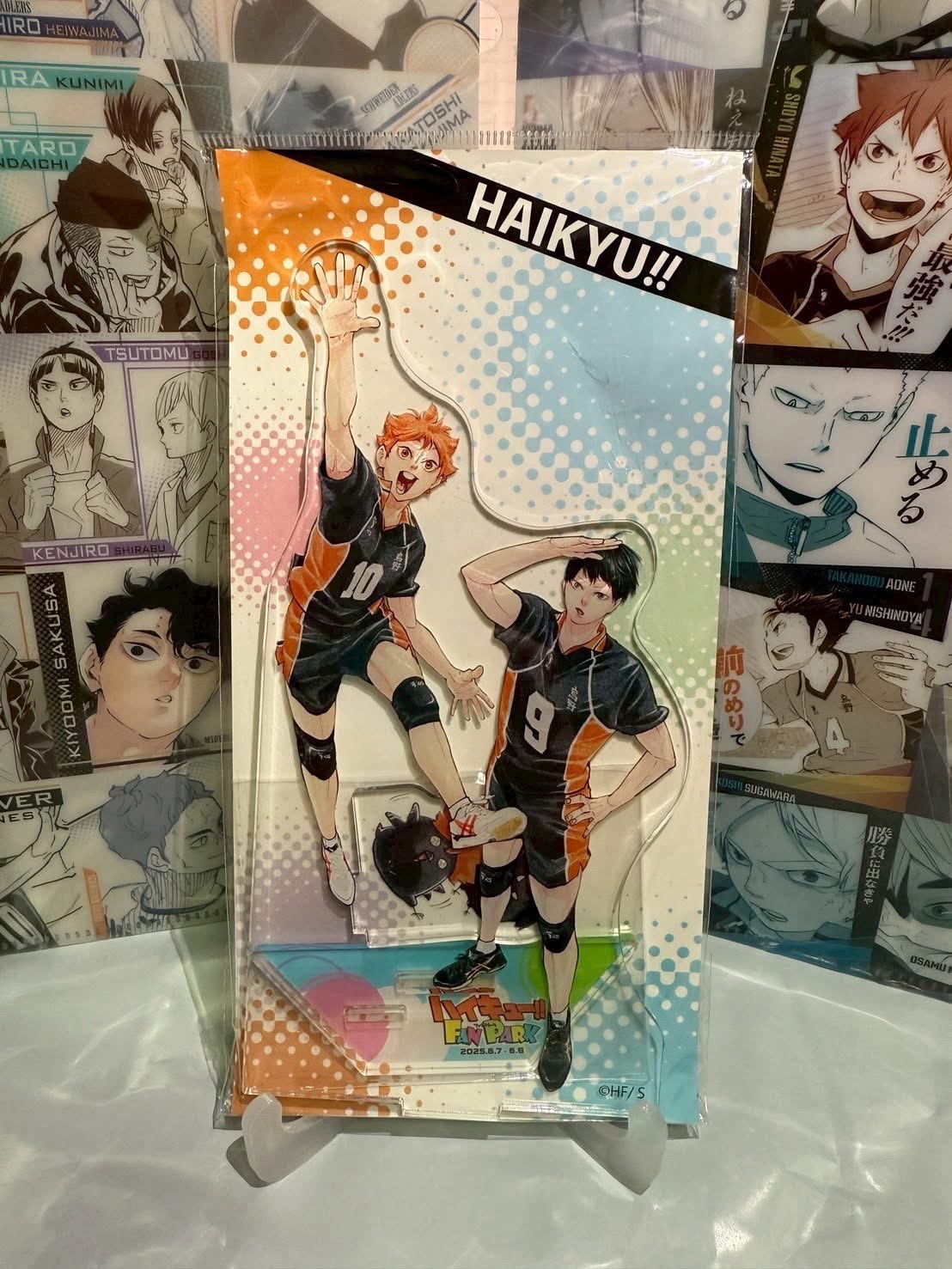 全新現貨 排球少年 fanpark 影日立牌