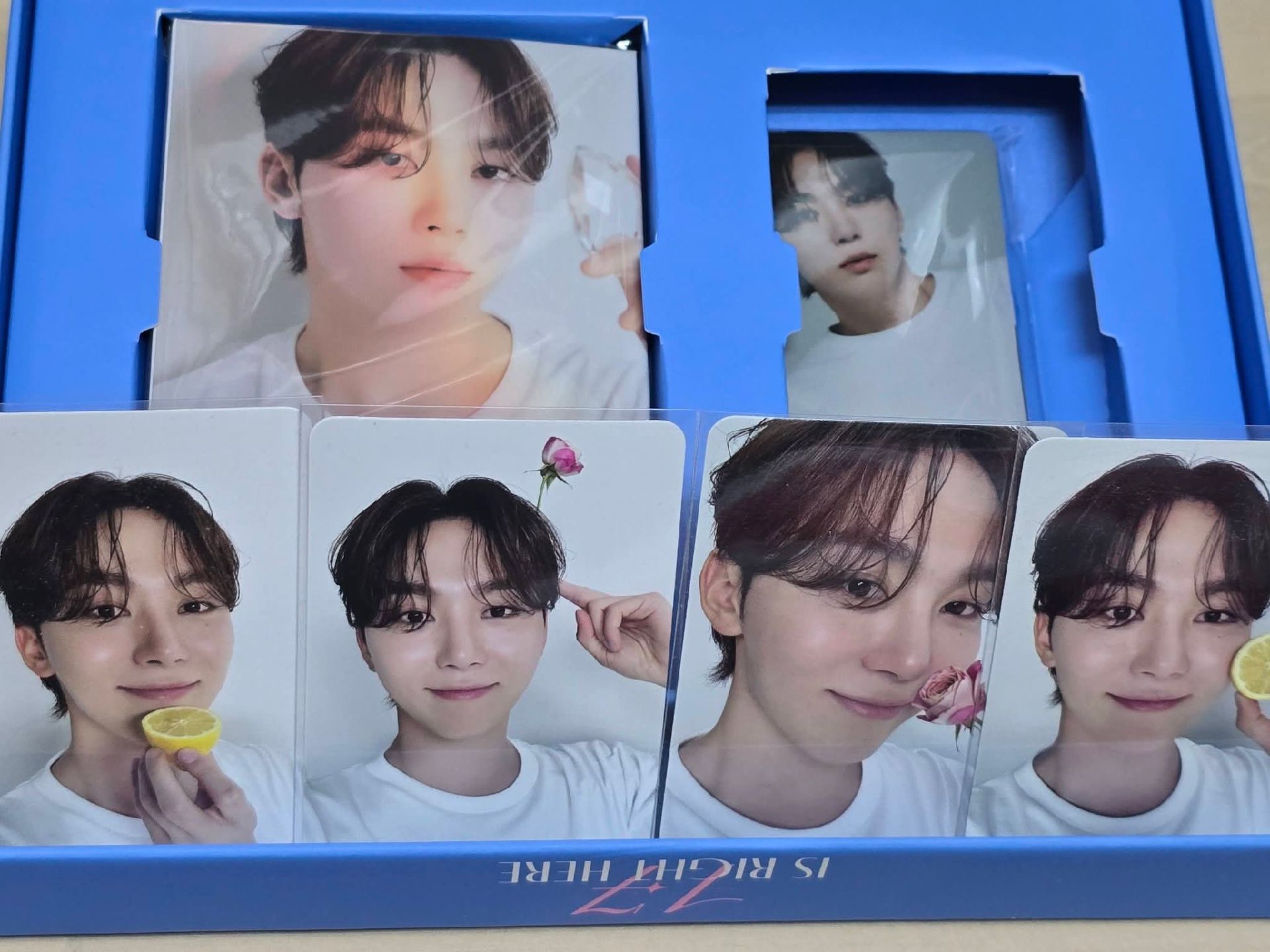 勝寛 親愛盤 全專