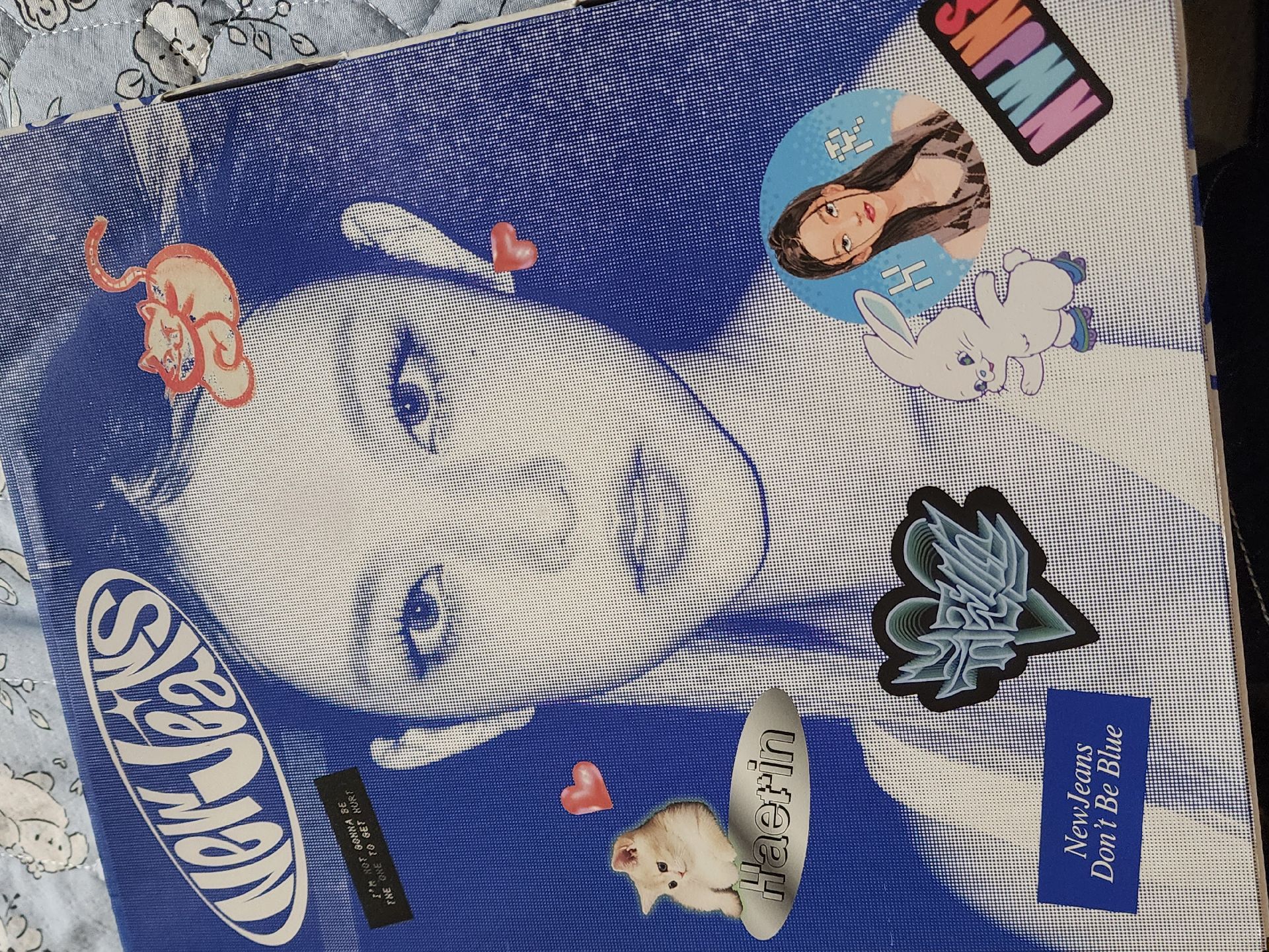 貓藍書 空專 無海報