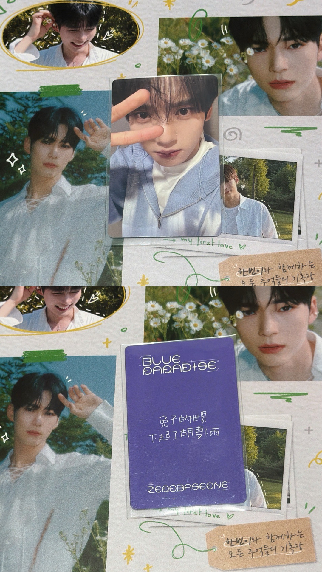 維辰一直娛中文卡背