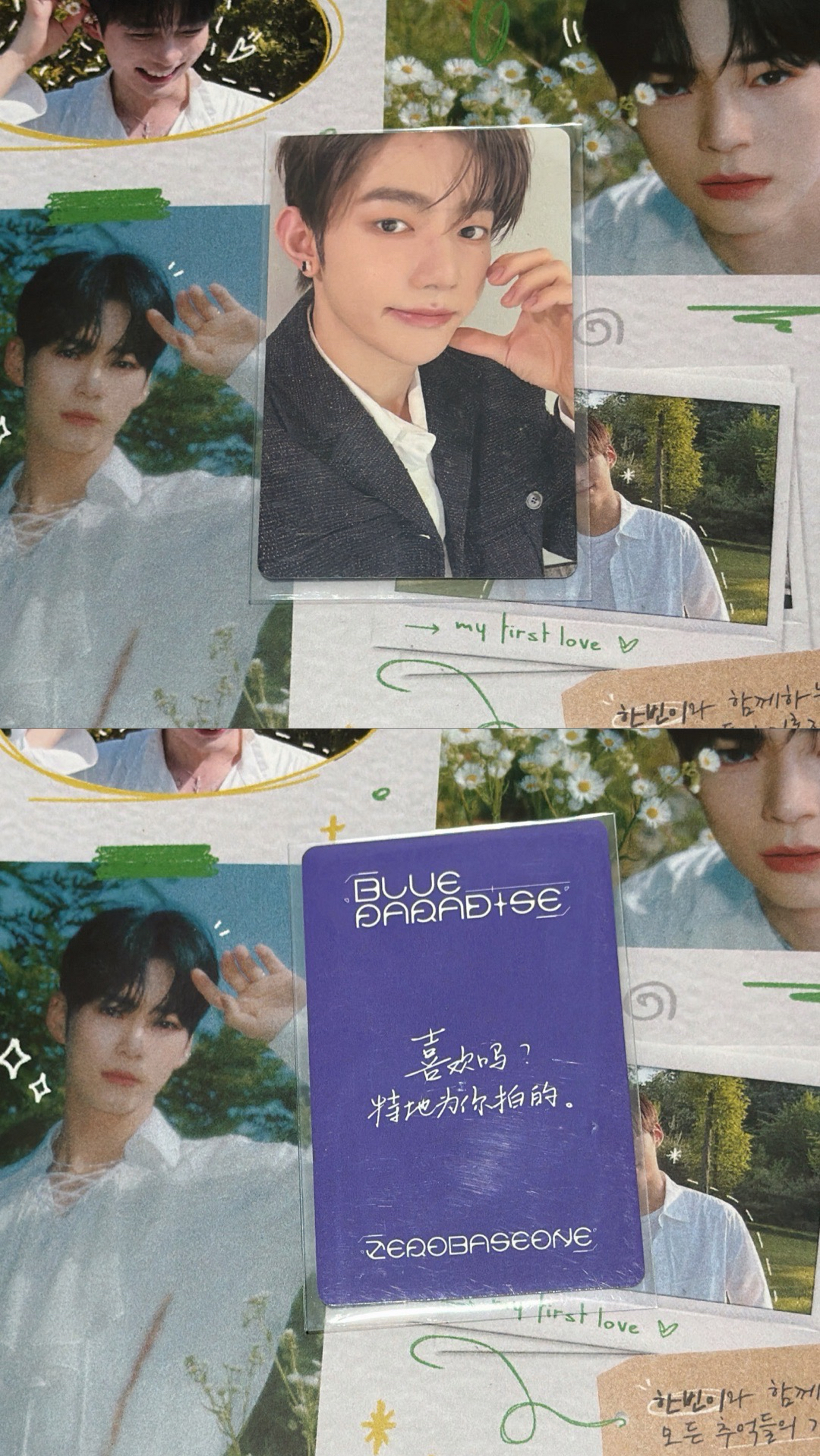 章昊一直娛中文卡背