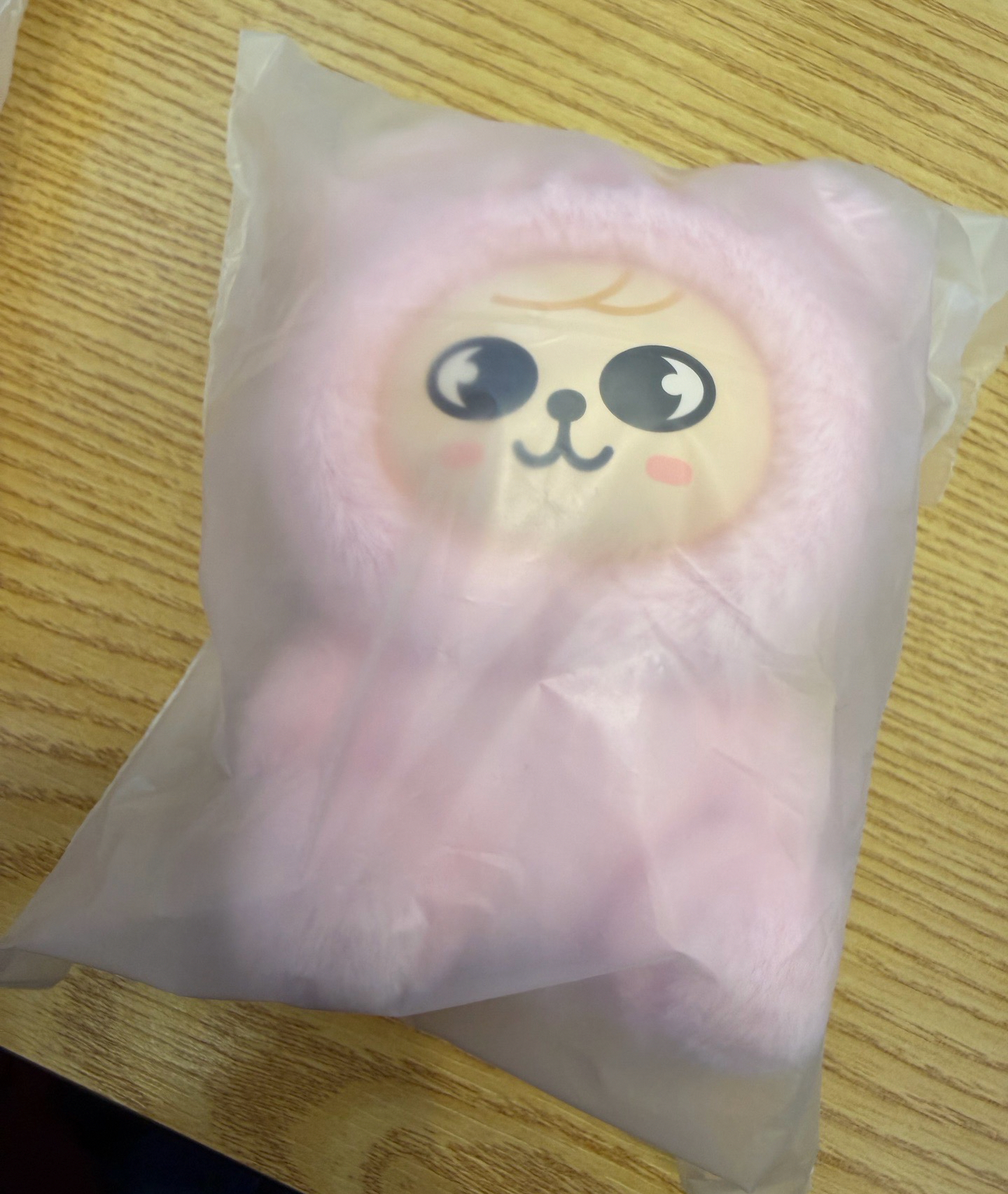 ［線下現貨］SKZ 六期飯咪 粉紅皮娃娃