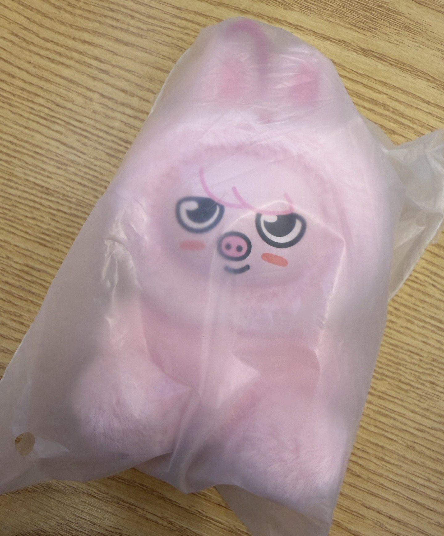 ［線下現貨］SKZ 六期飯咪 粉紅皮娃娃