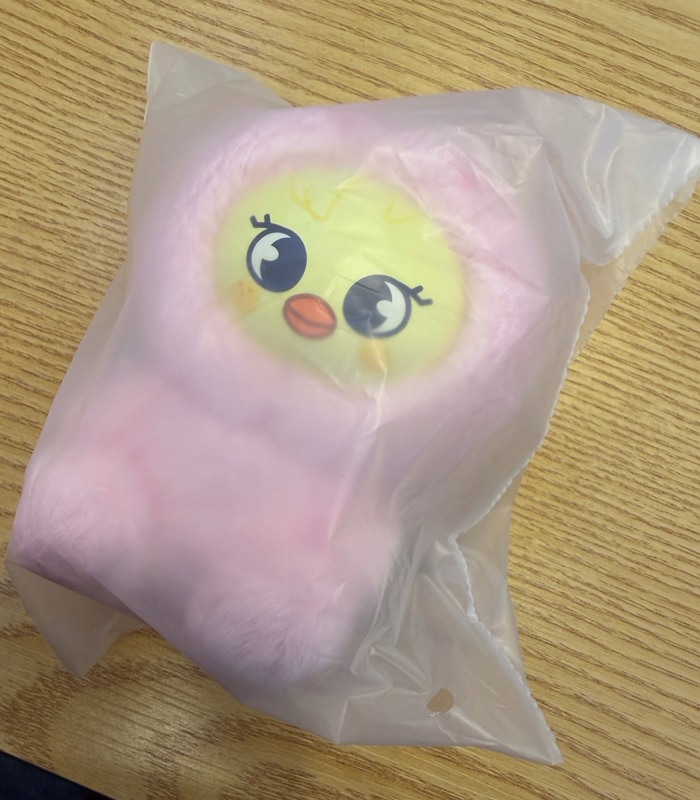 ［線下現貨］SKZ 六期飯咪 粉紅皮娃娃