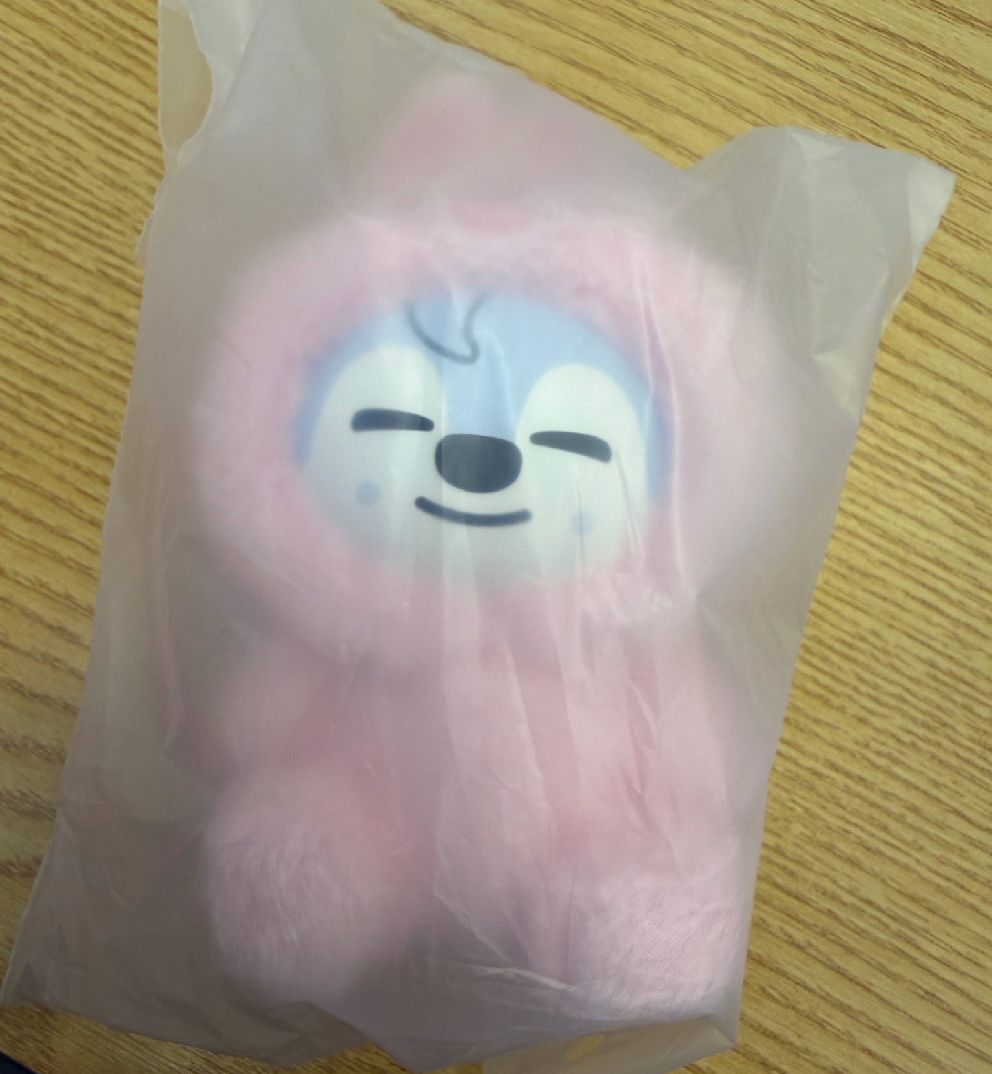 ［線下現貨］SKZ 六期飯咪 粉紅皮娃娃