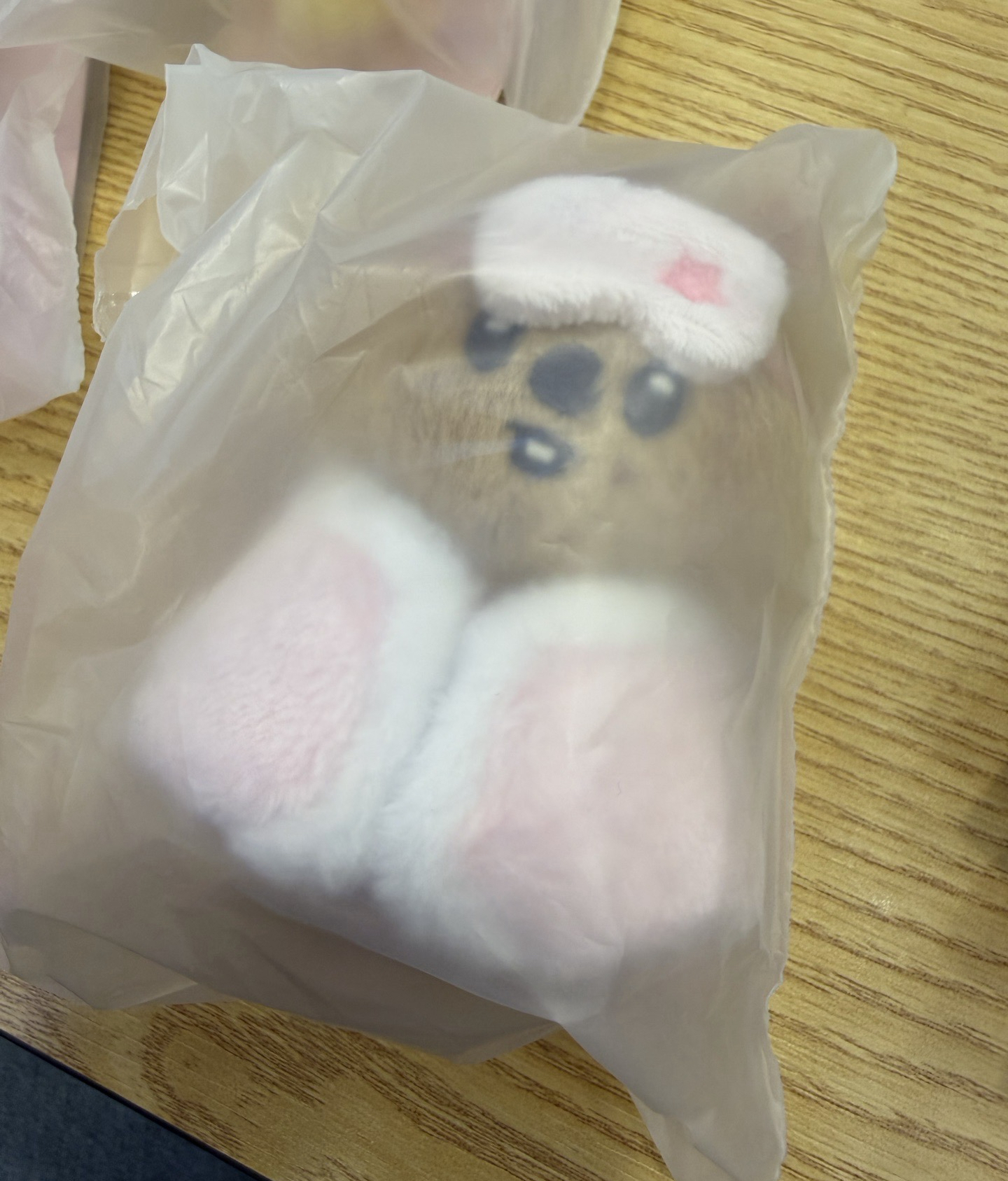 ［線下現貨］六期飯咪 眼罩娃