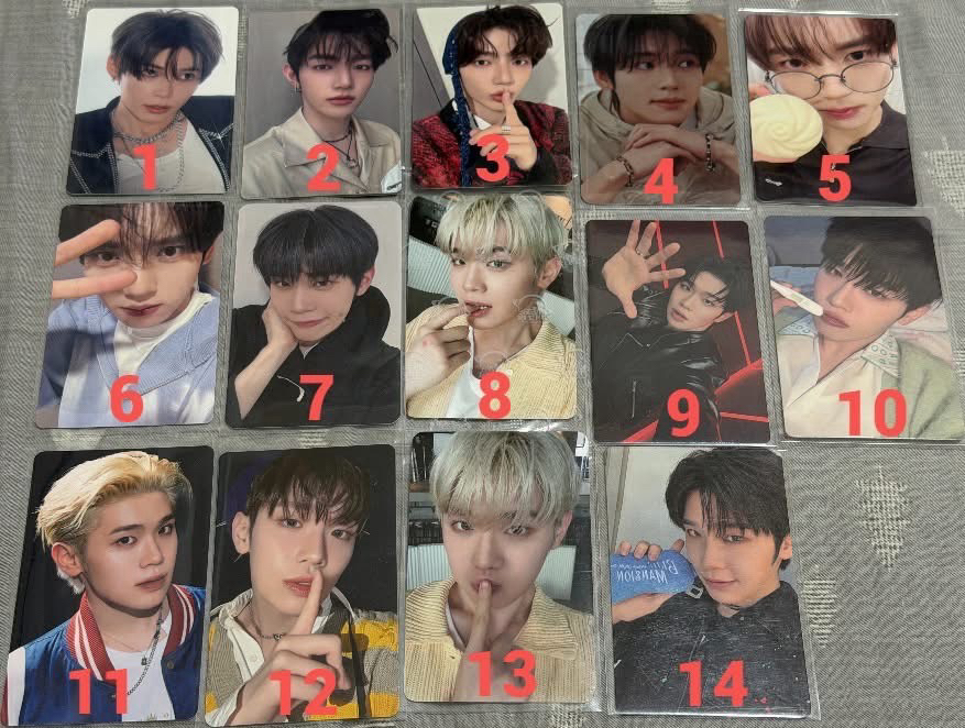 🐰維辰🐹韓彬🐼昊🦆泰來