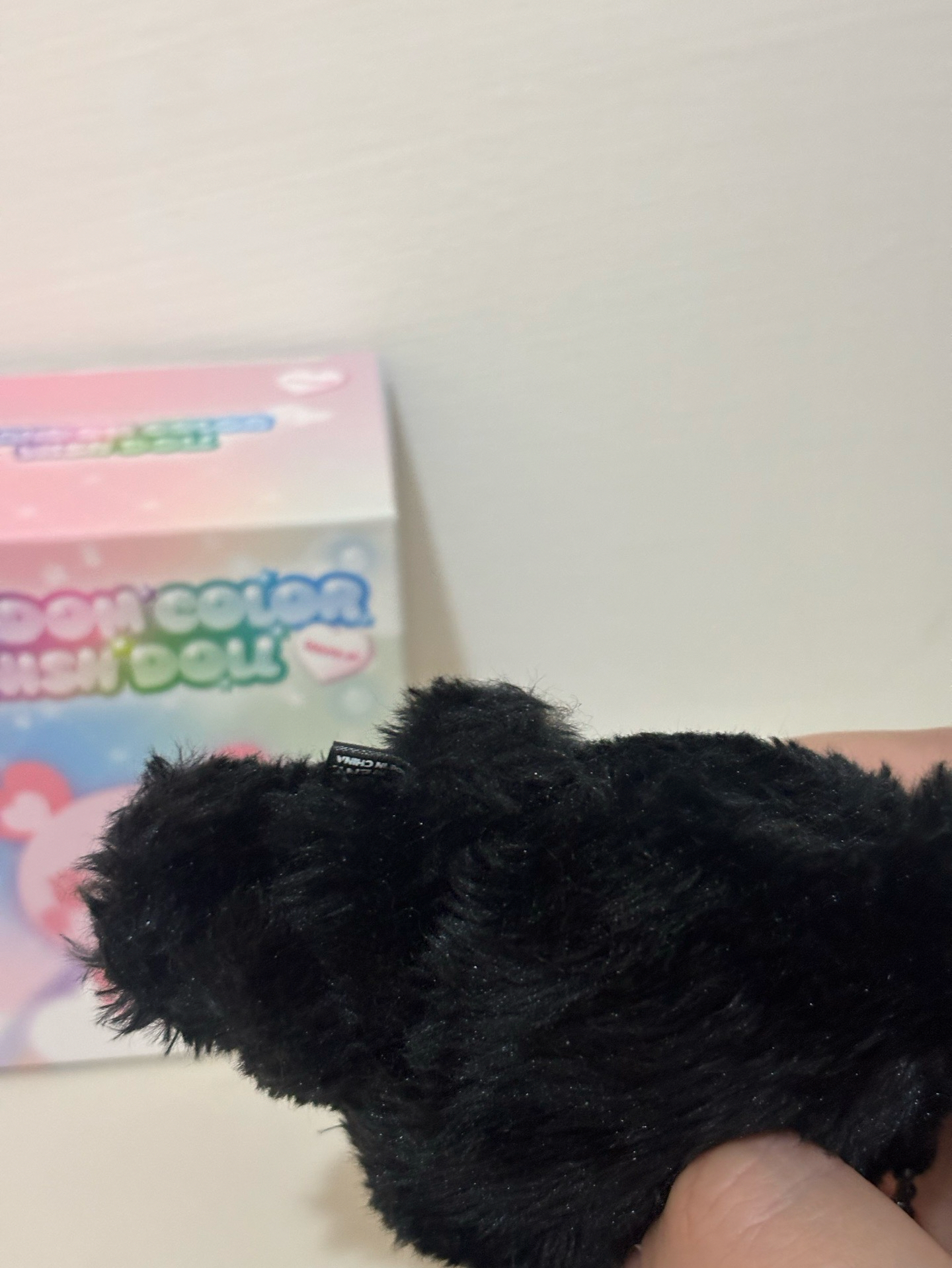 Nct Wish 彩娃 sakupang 黑胖