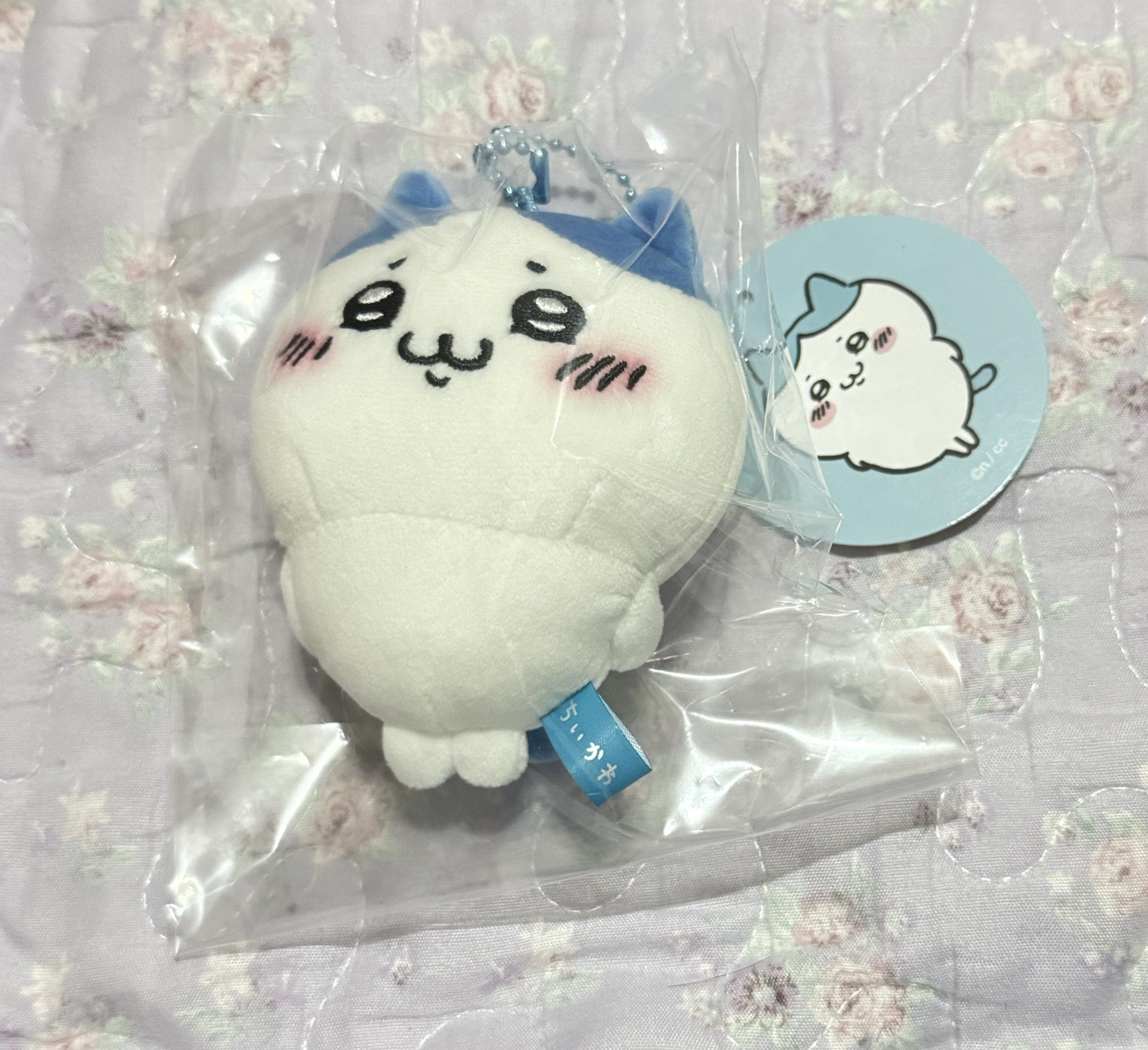 日版 壞笑 小八