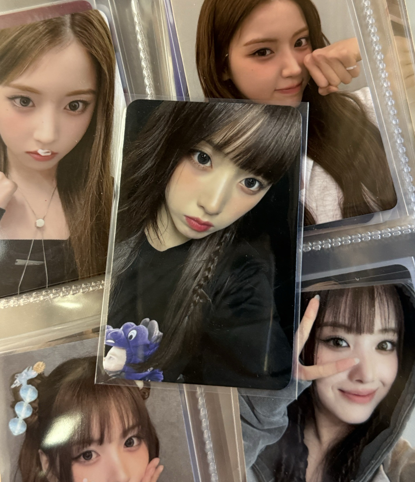 卡背：我是小狗啾寶～