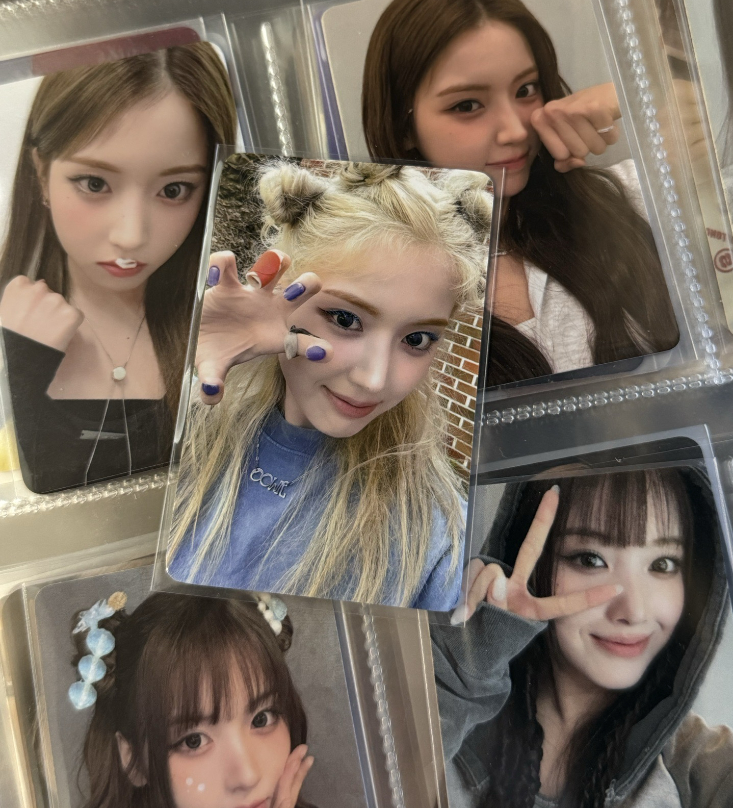 卡背：小狗的愛是永遠