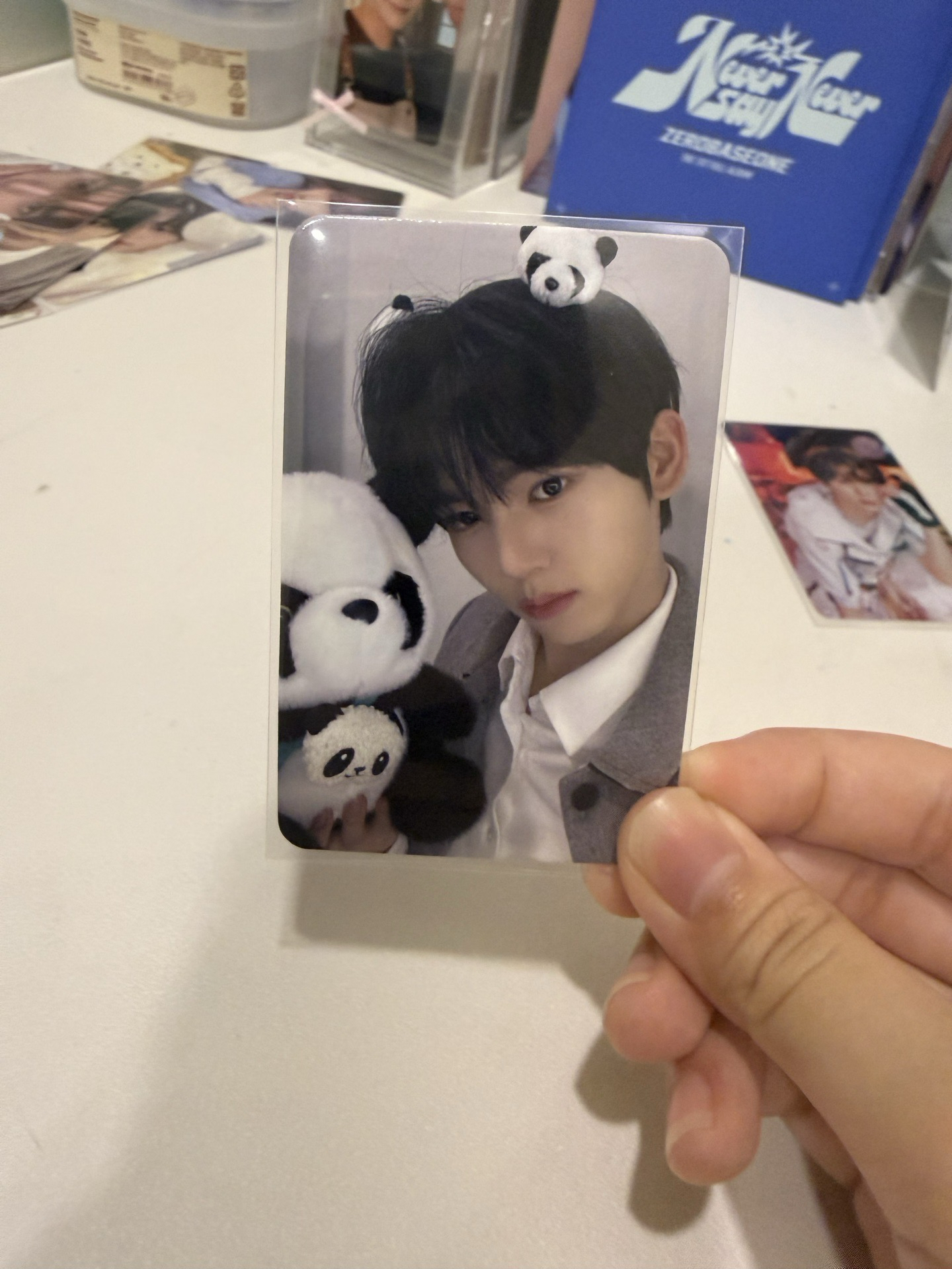 維辰迷三am熊貓