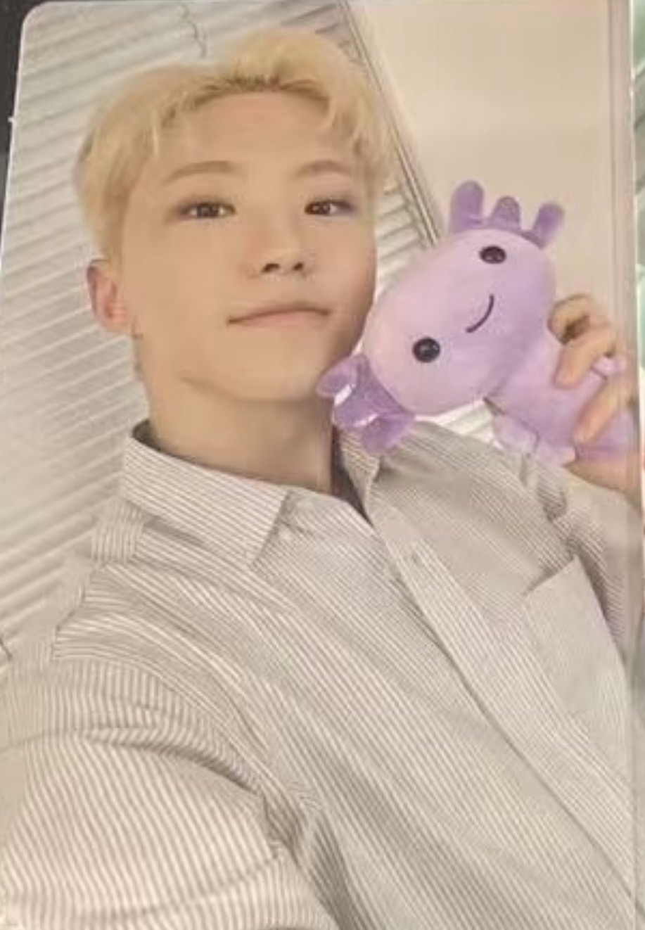 榮 墨西哥滿額卡 蠑螈卡