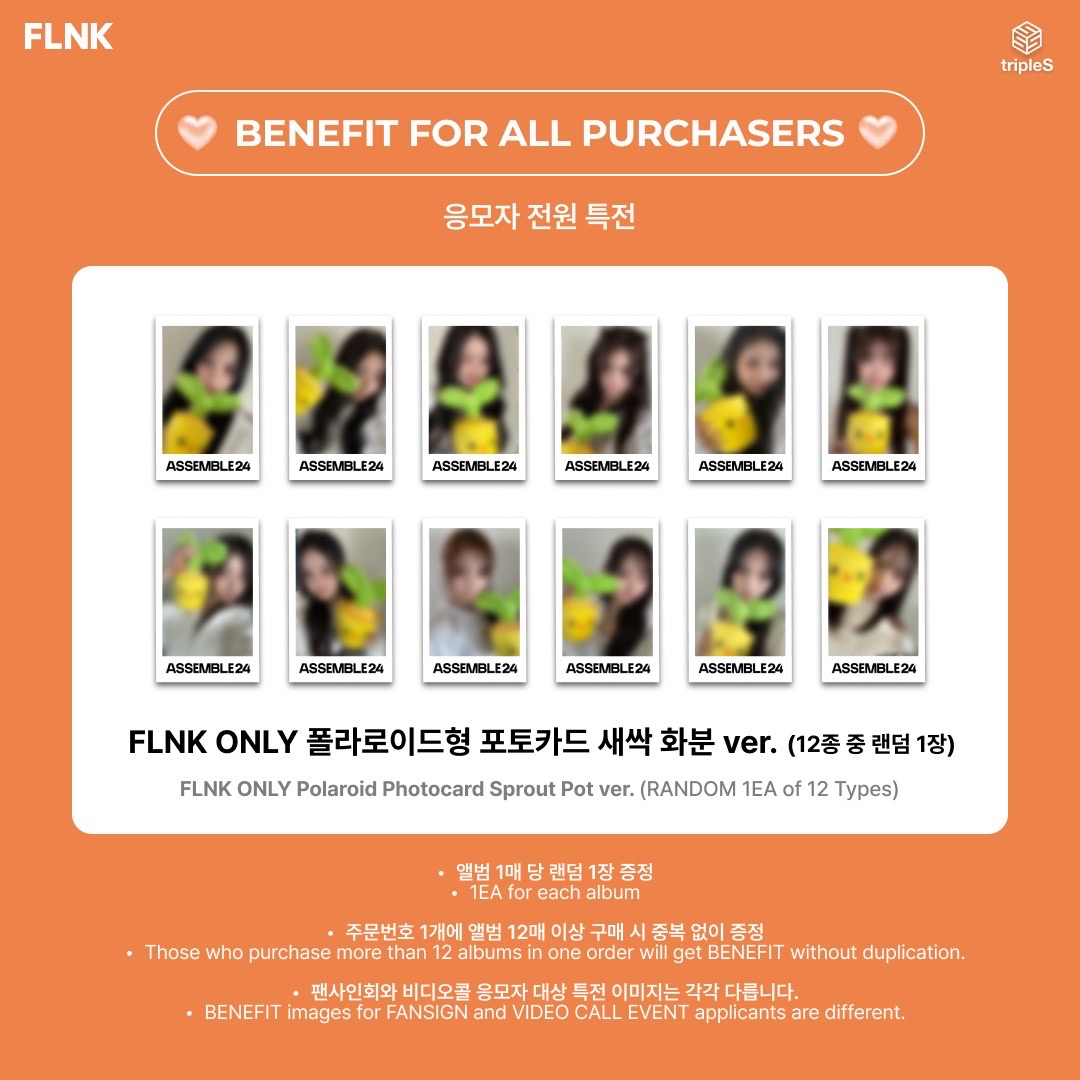 20240526 FLNK 簽售