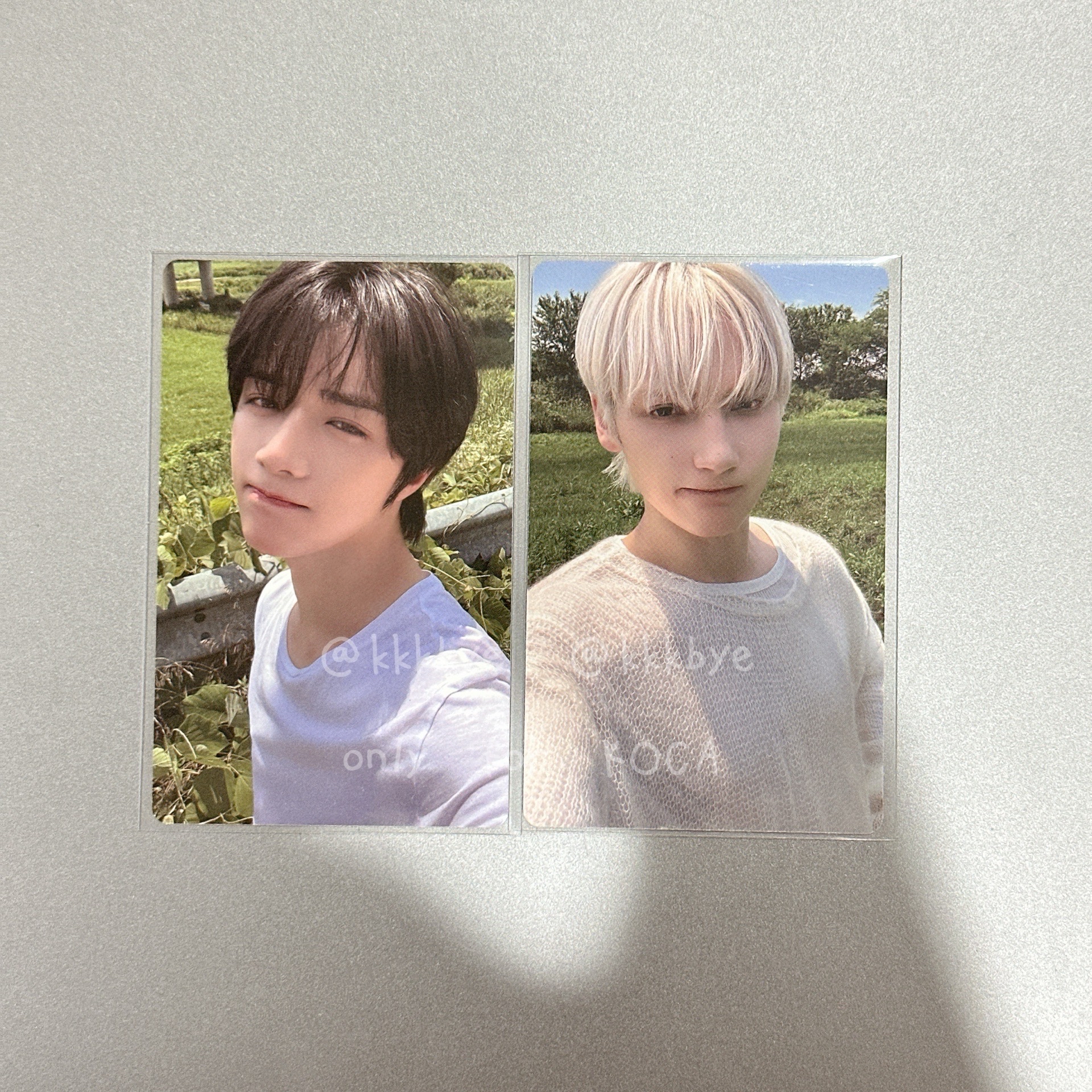 🧸🐧正四SC PB特典卡