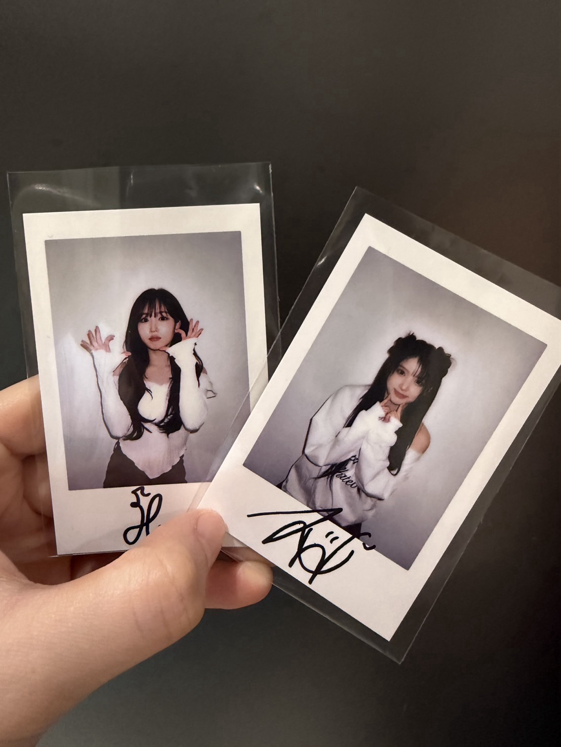 嫄+友復刻拍立得MSLD 現貨