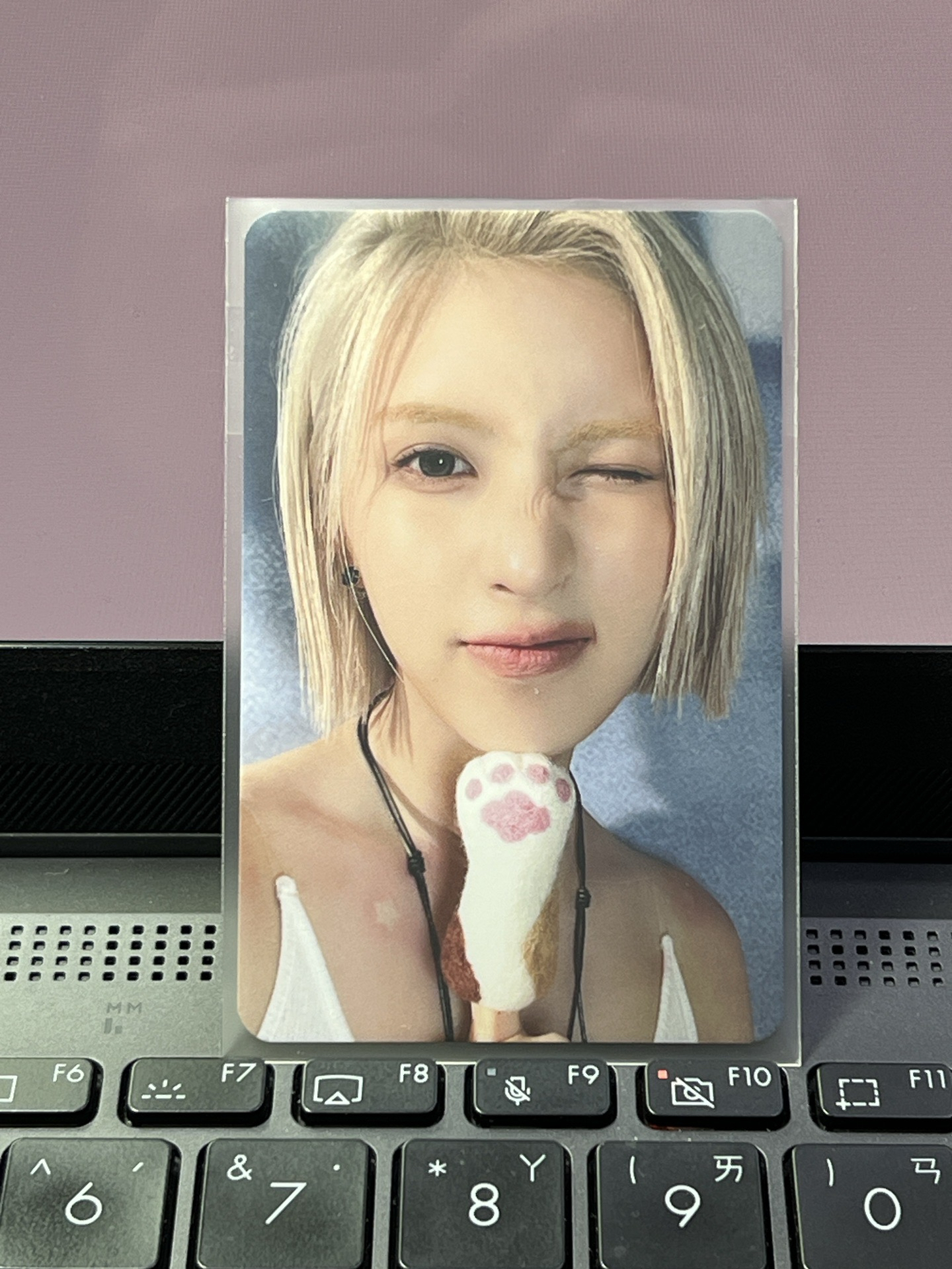 🐋STICK OUT 喵喵拳裴