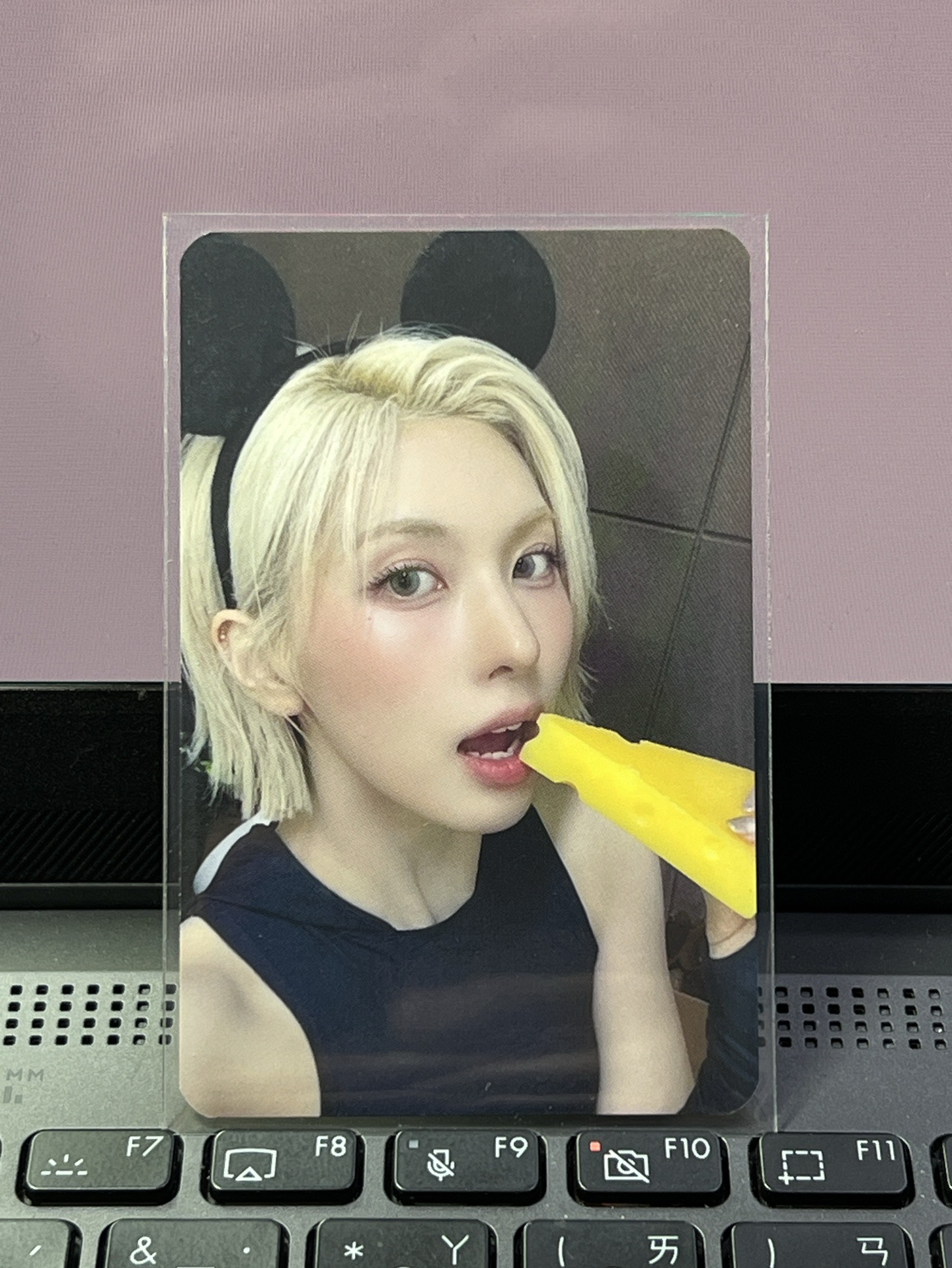 🐋FORWARD ms 奶酪裴