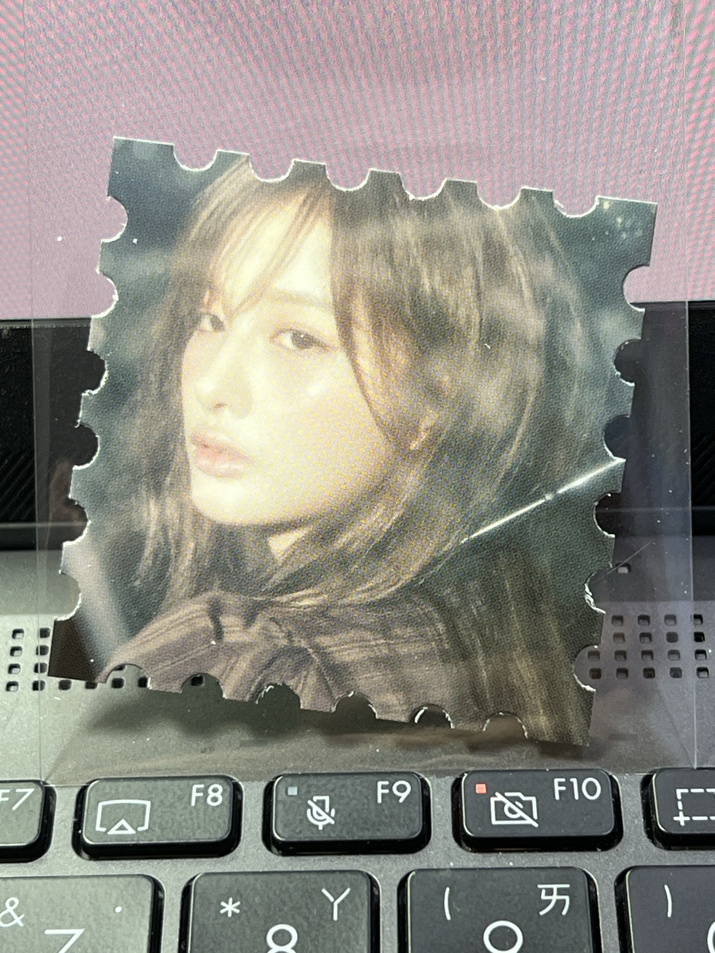 🐋正規一 ms 預售特典 郵票薛