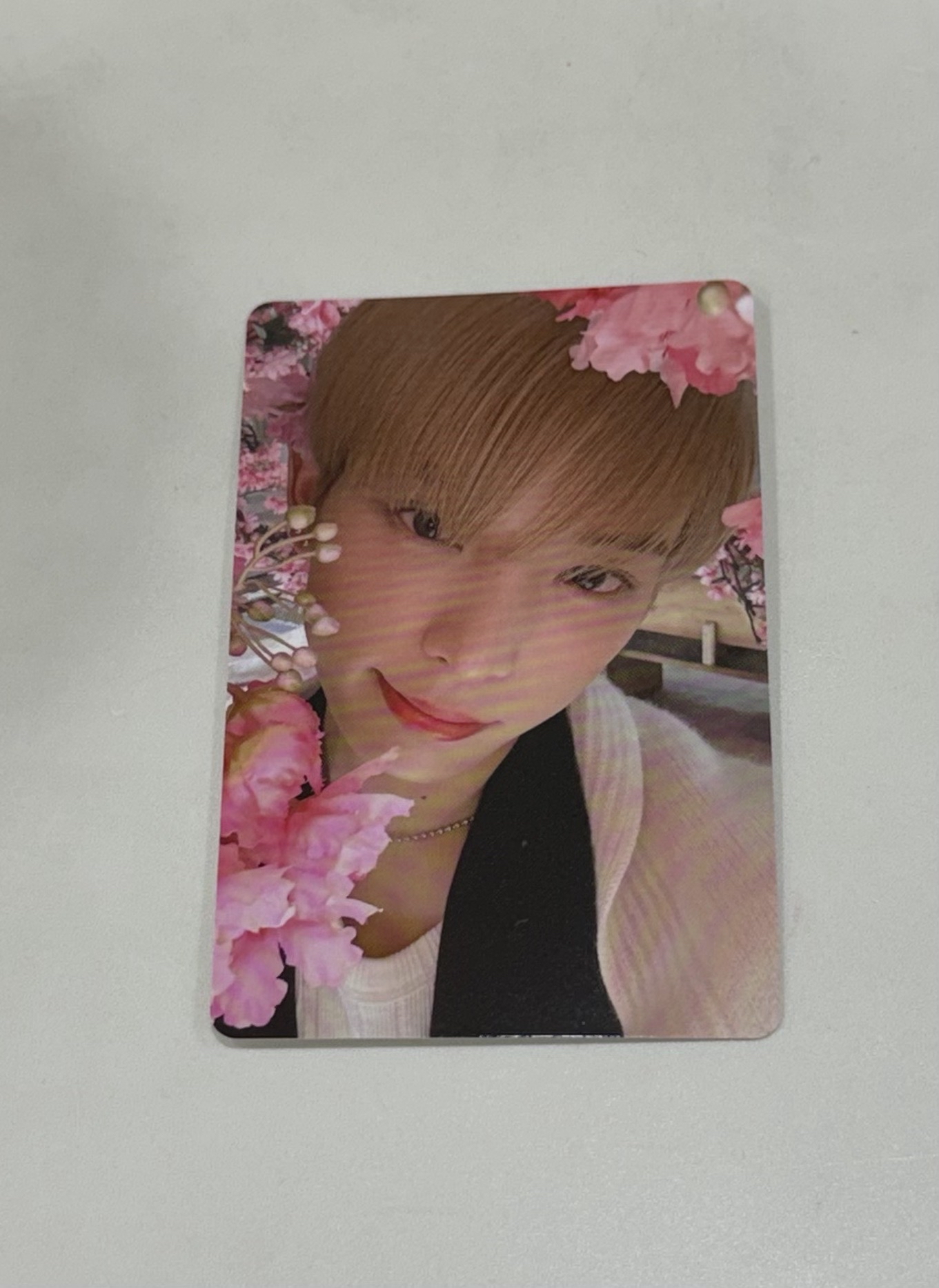 雪明 專輯卡 HARUA