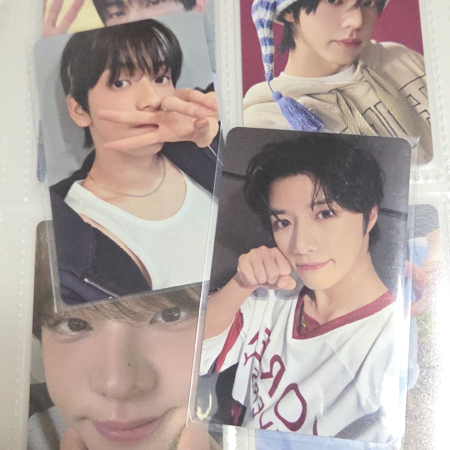 兔兔狗狗貓貓？