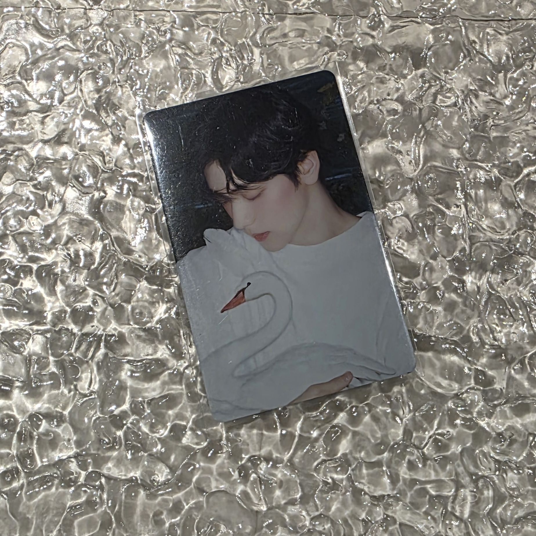 崔酥餅小卡🐰白色系🤍