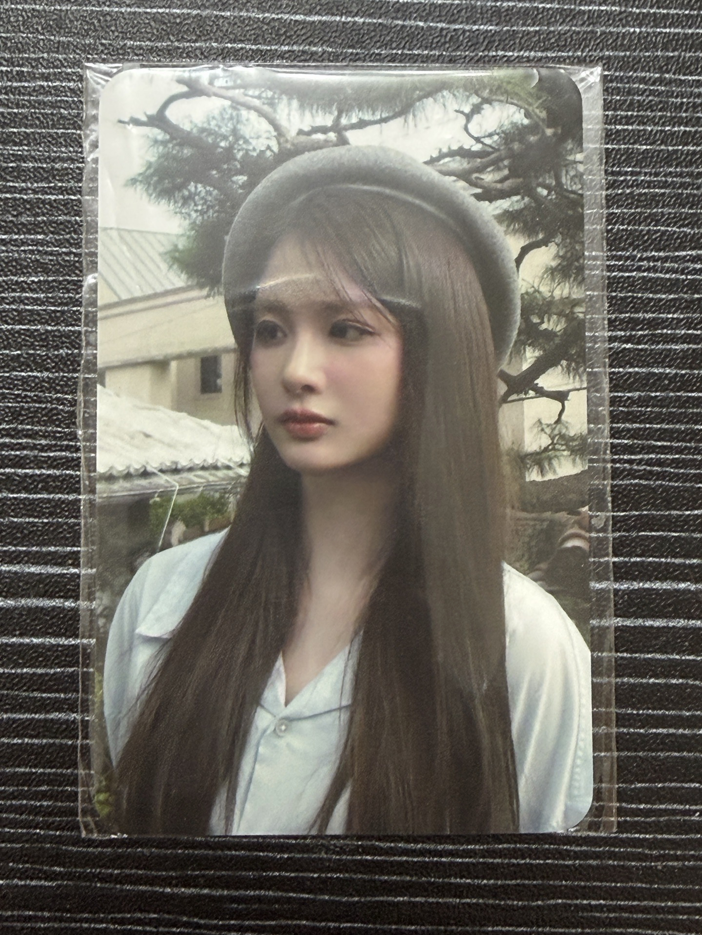 MIXX UNIVERSITY 薛滿額卡 線下