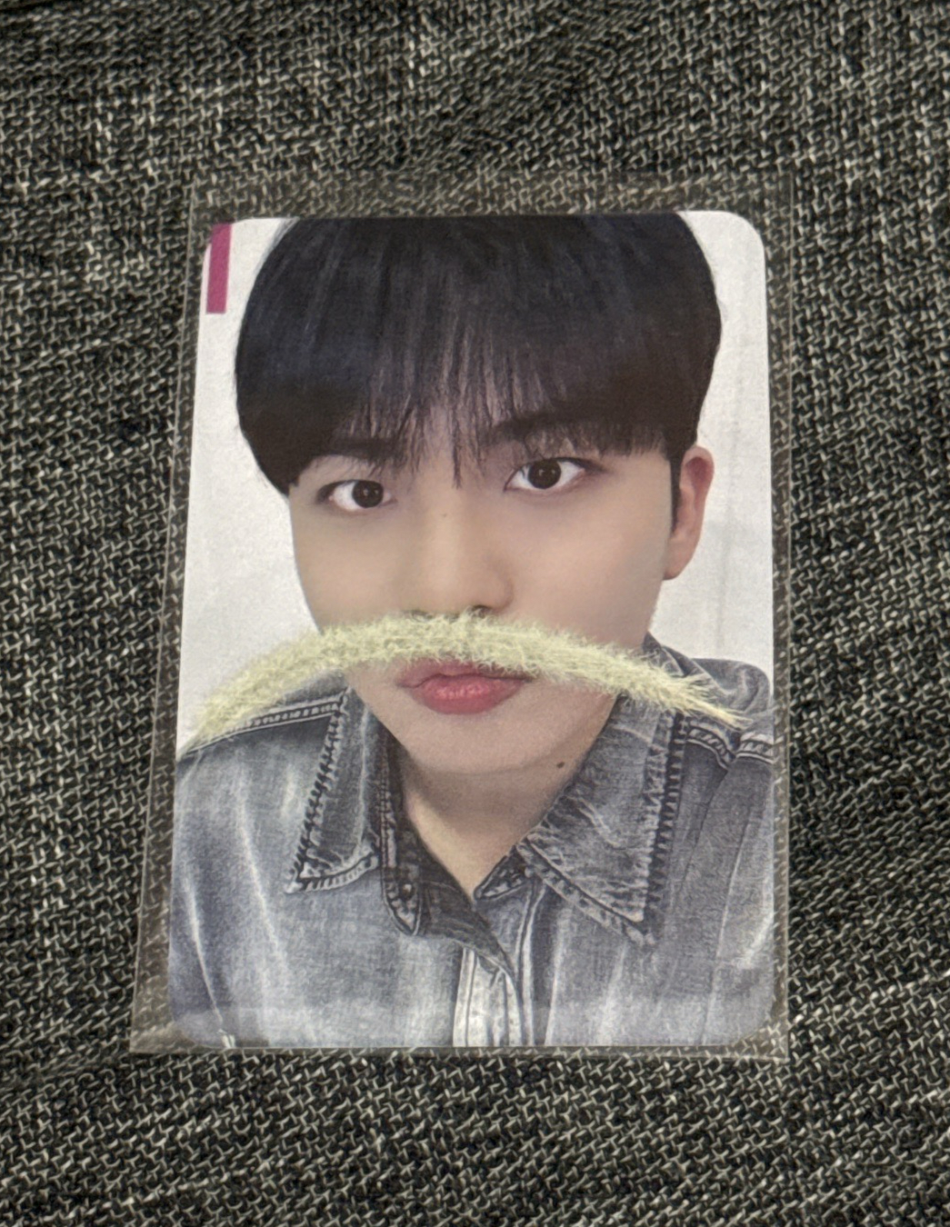 GH3 dmm 特典卡 狗尾草 鍾浩🐻