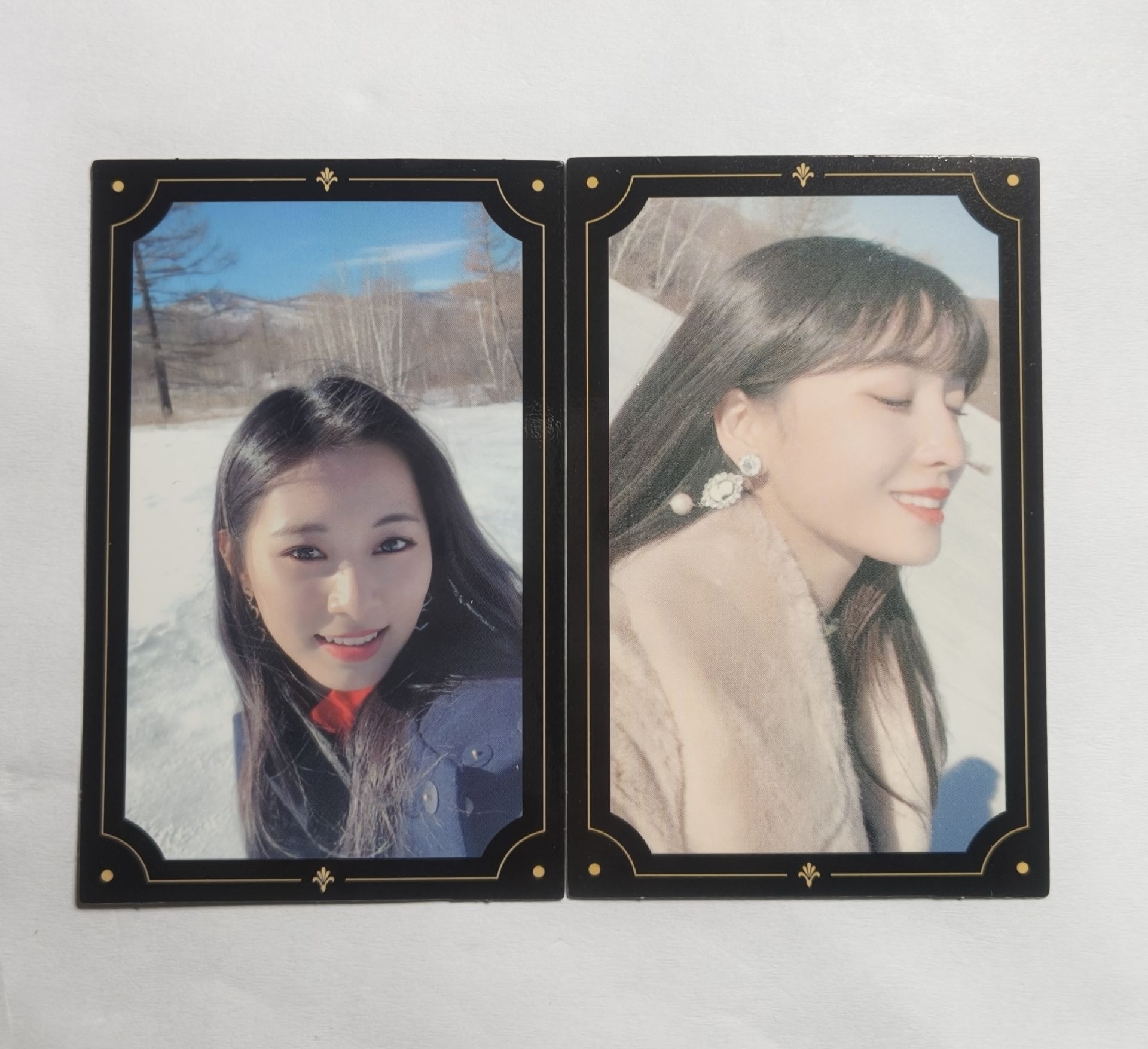 你可曾在雪山上救過一隻狐狸