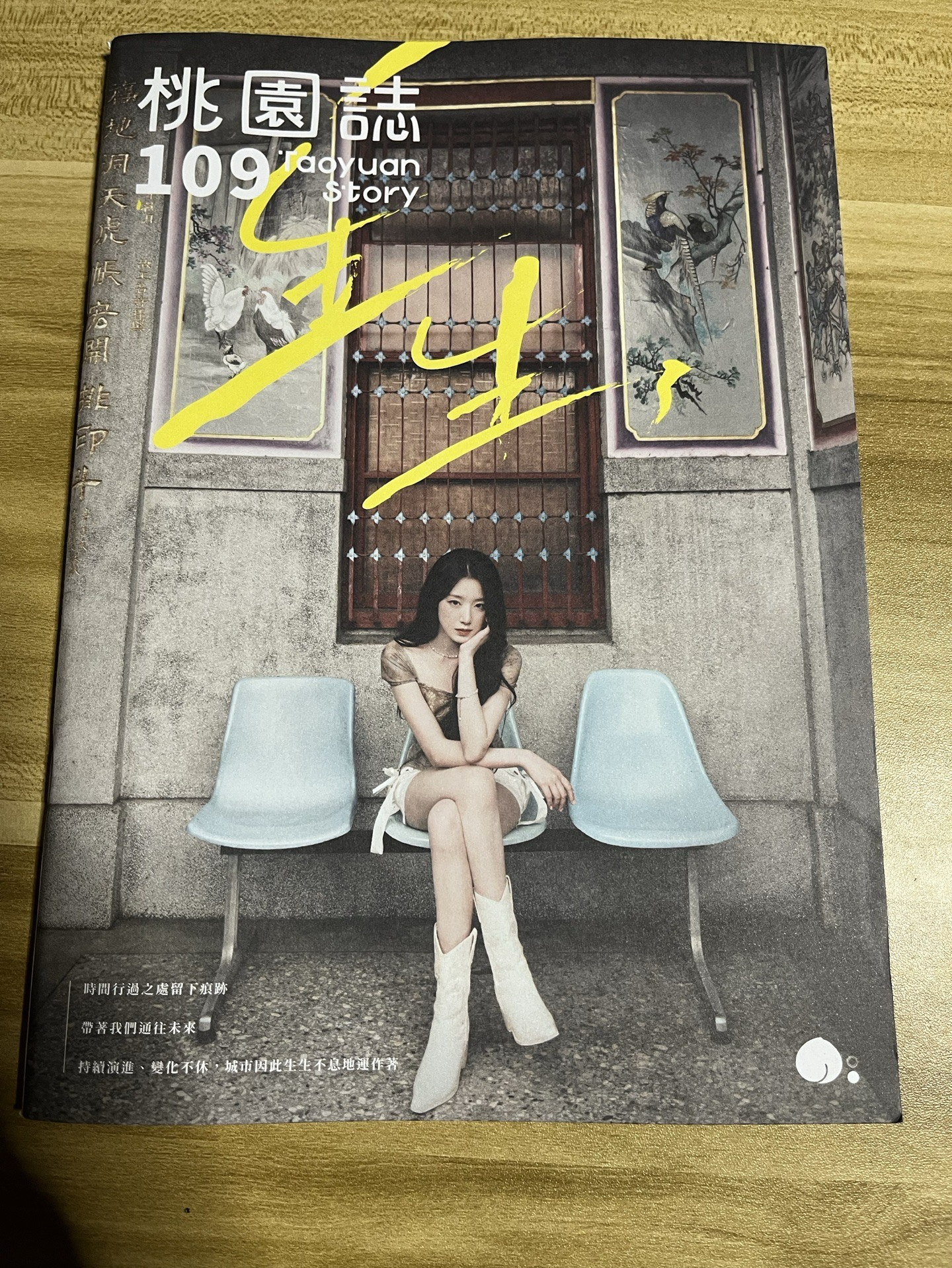 (🏰現貨）舒華 桃園誌 