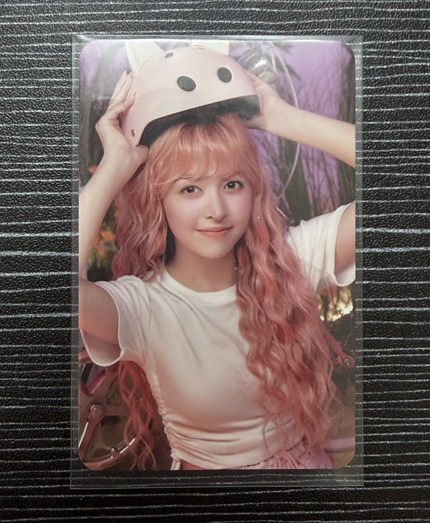 2024年曆 年曆卡 固配莉