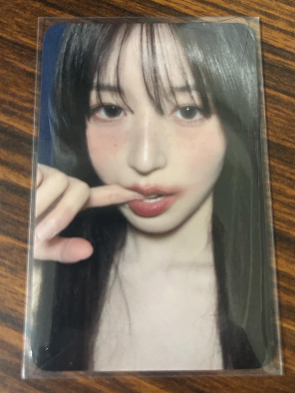 正規一 el 預售 特典卡 