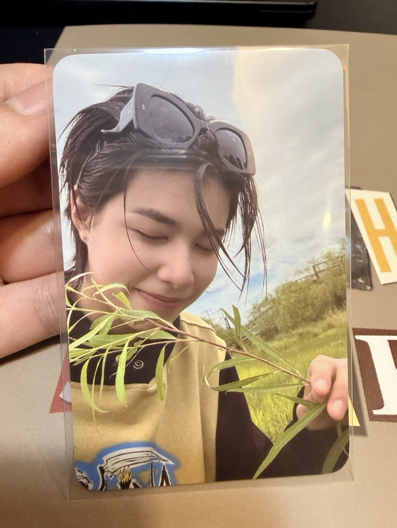 拈花惹草的路易