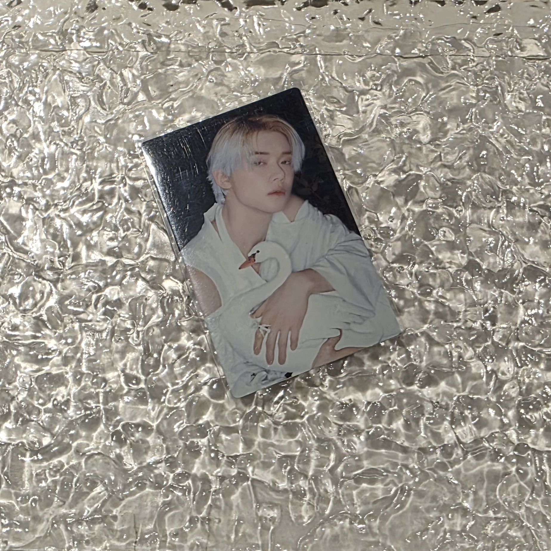 日專竣卡🤍🦊