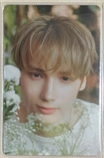 日巡隨機卡寧①