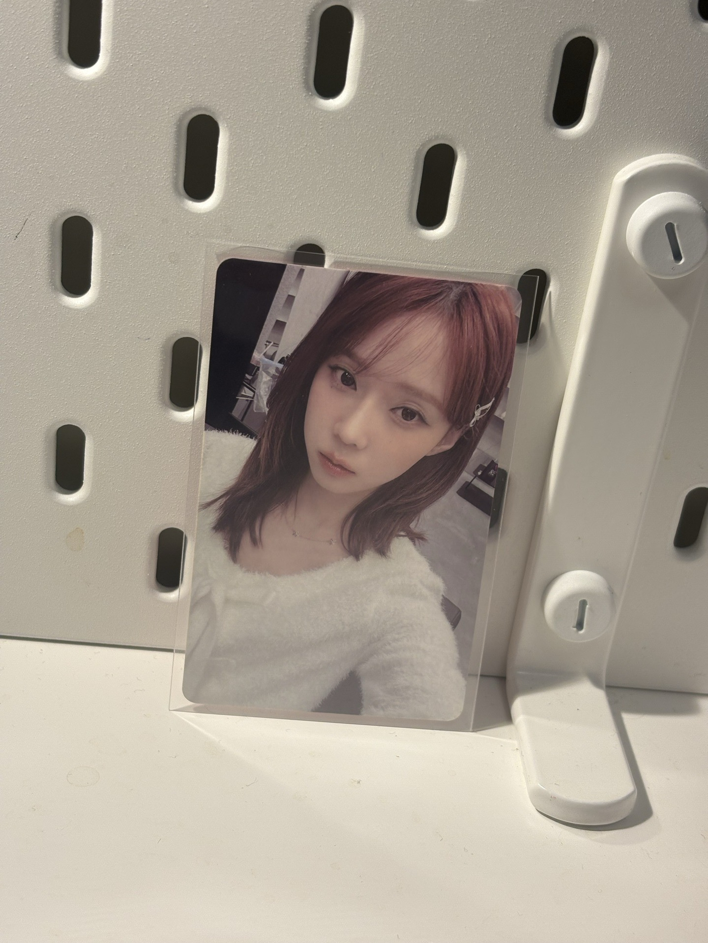 Drama kms 幸運卡 v3冬 白茶冬