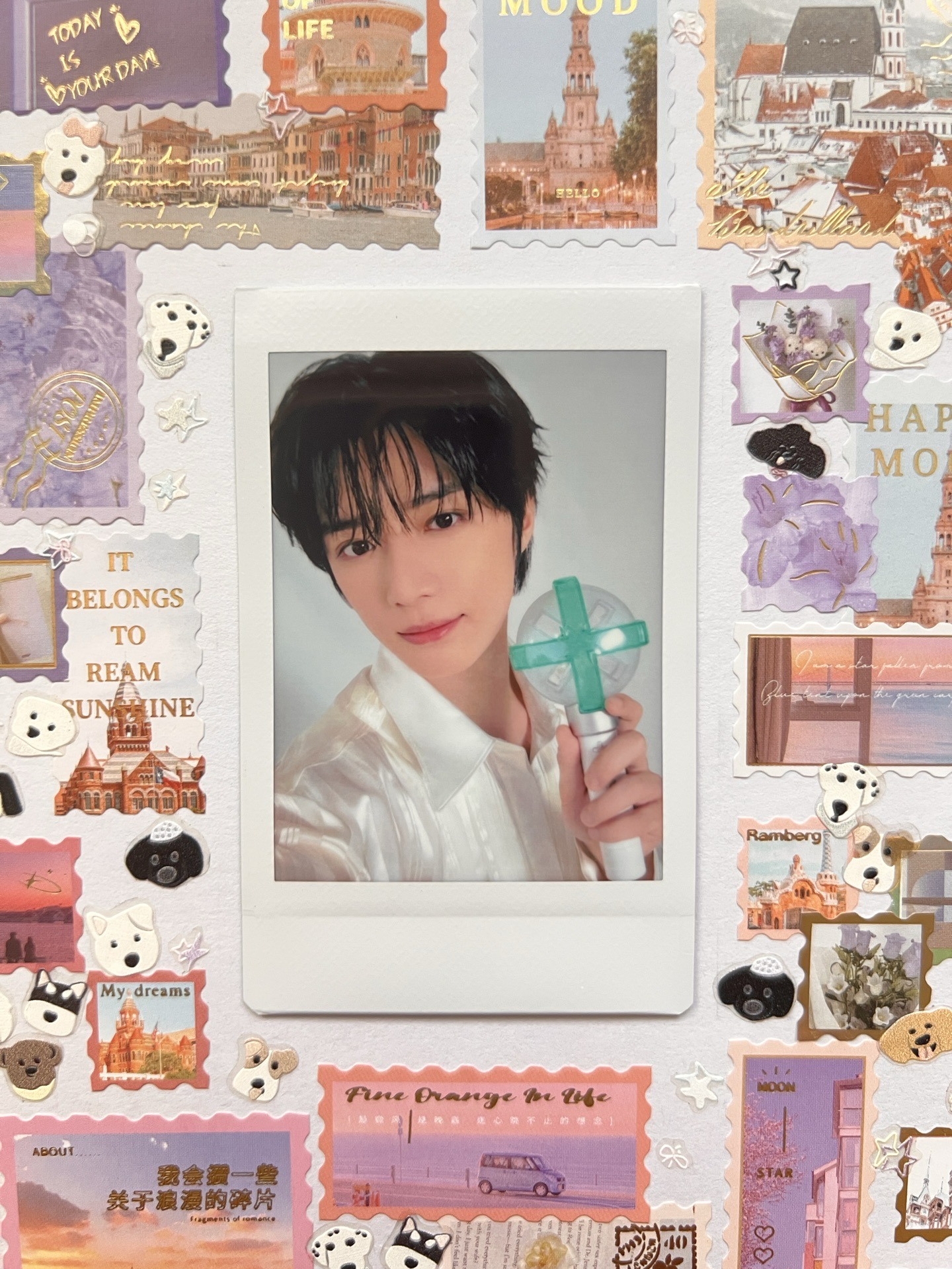 崔杋圭 拍立得 25巡 隨機