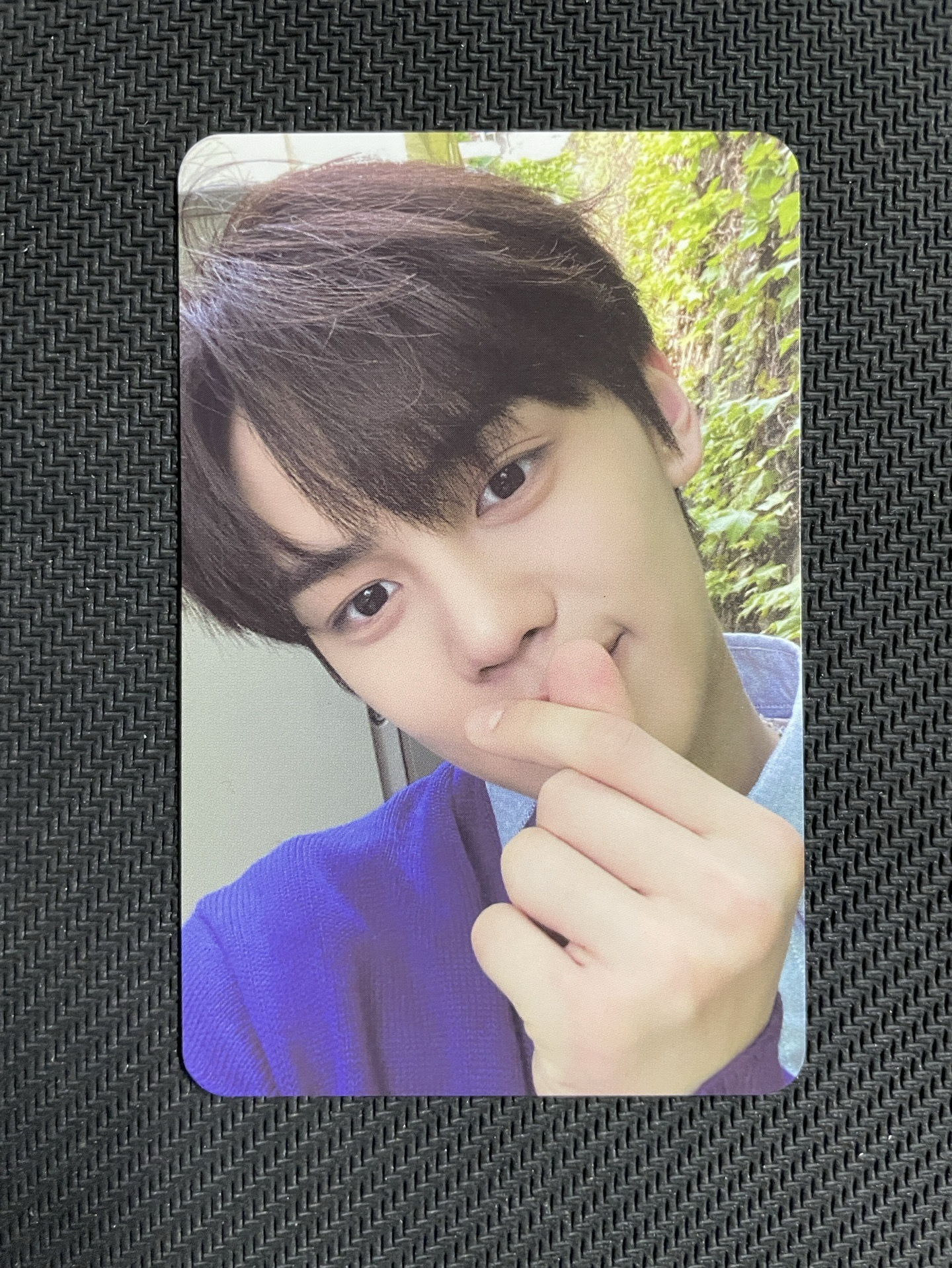 ZB1 金奎彬 一期會員禮卡