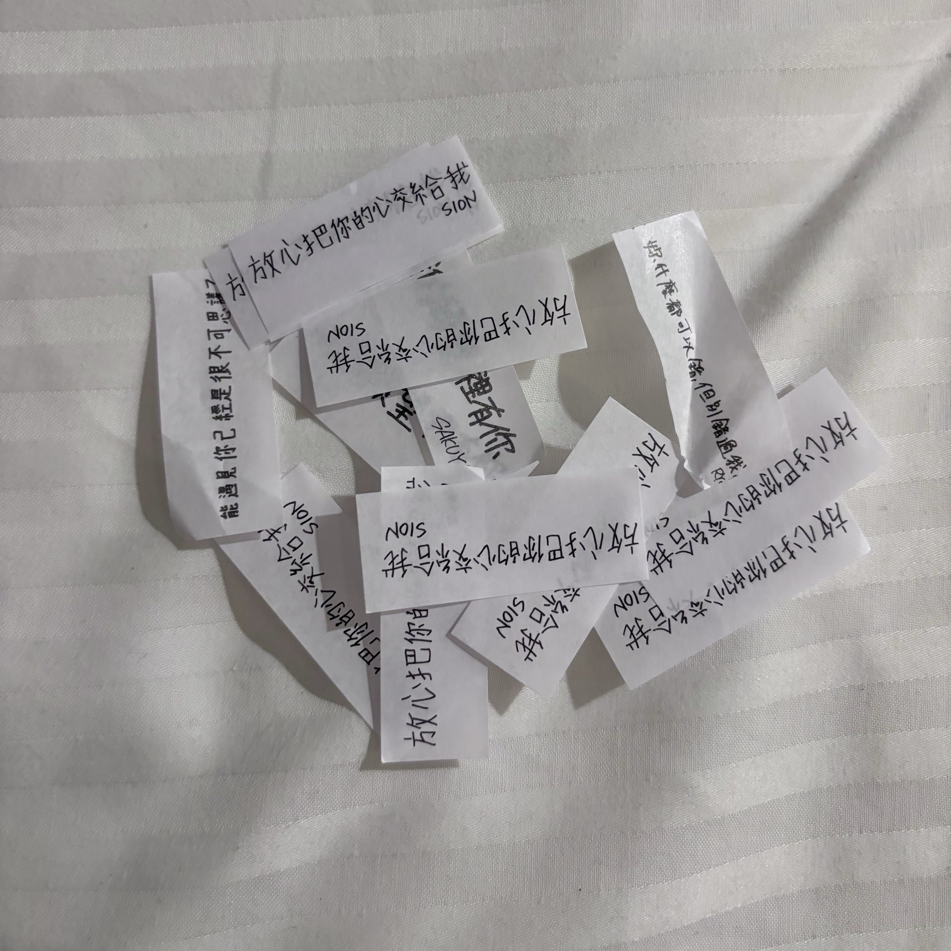 【專輯+送演唱會紙花】nctwish 高雄場 台北場