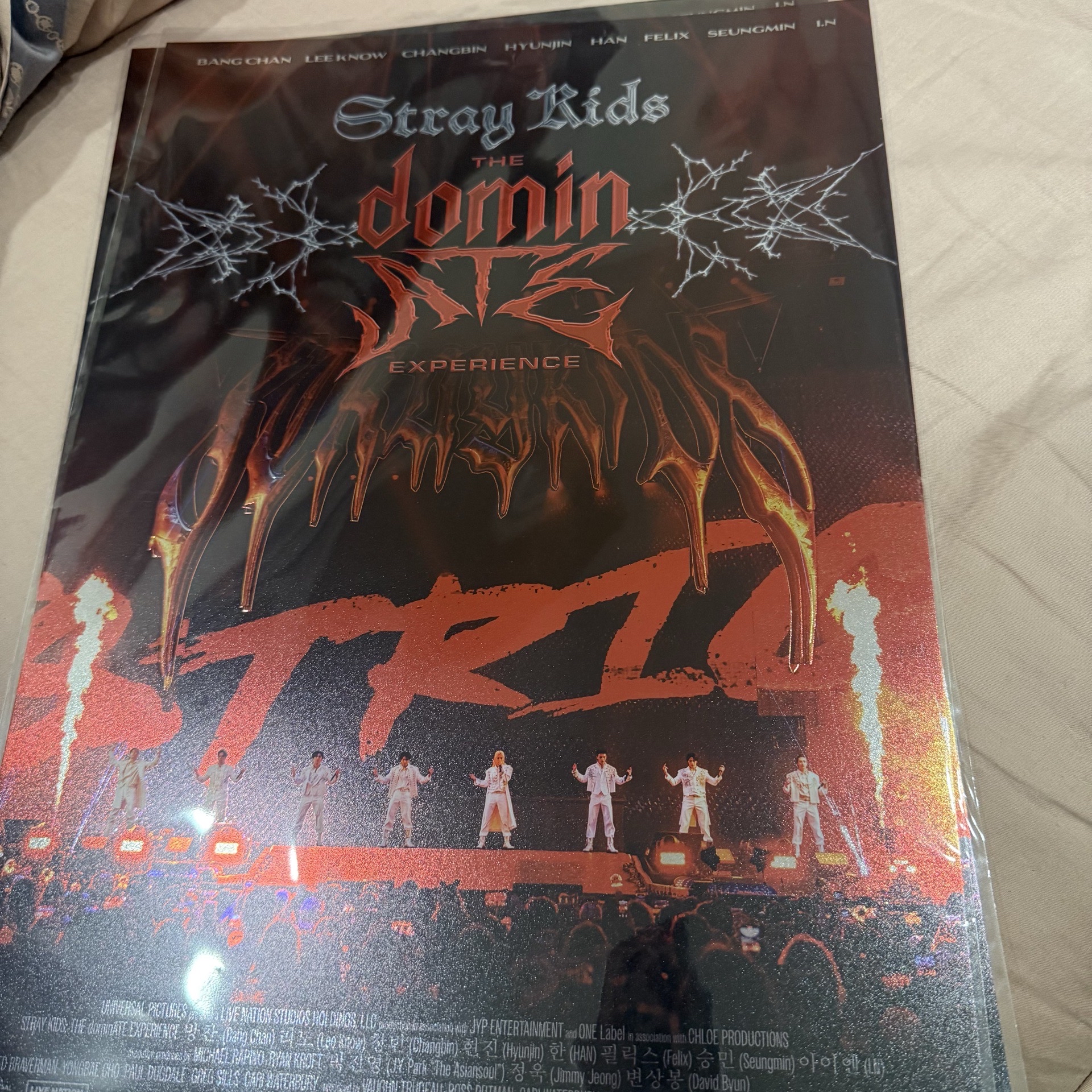 現貨 | Stray kids 世巡電影海報/明信片/爆米花票卡