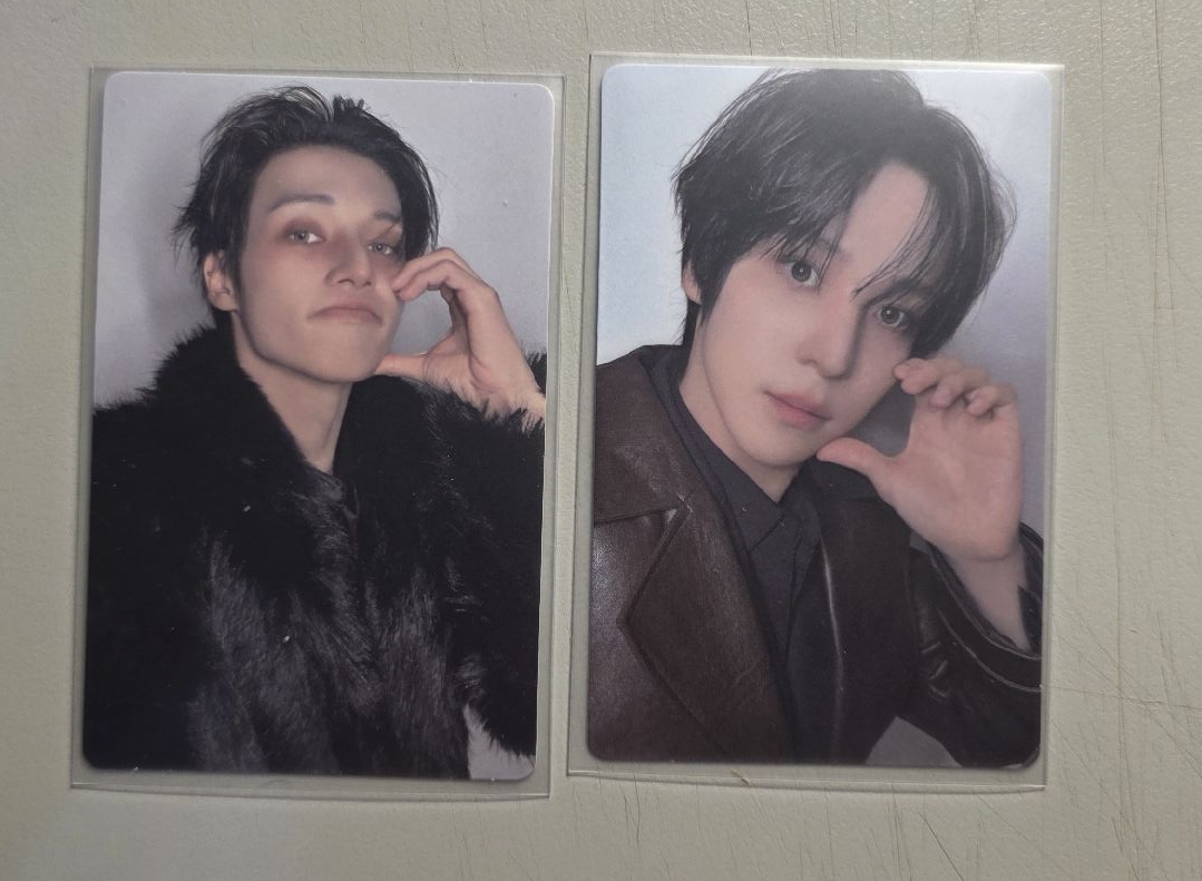 快把小貓小狗帶回家