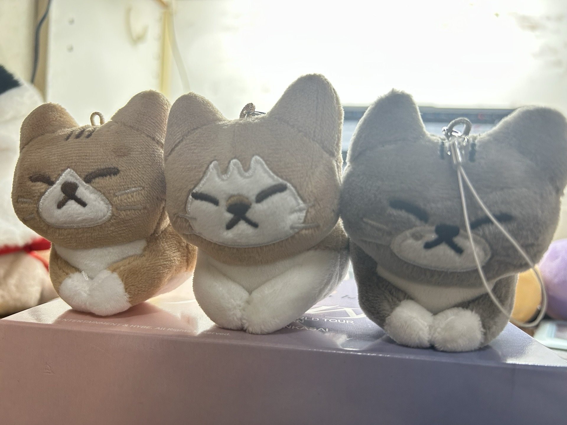 （保留中）順東多（含卡）